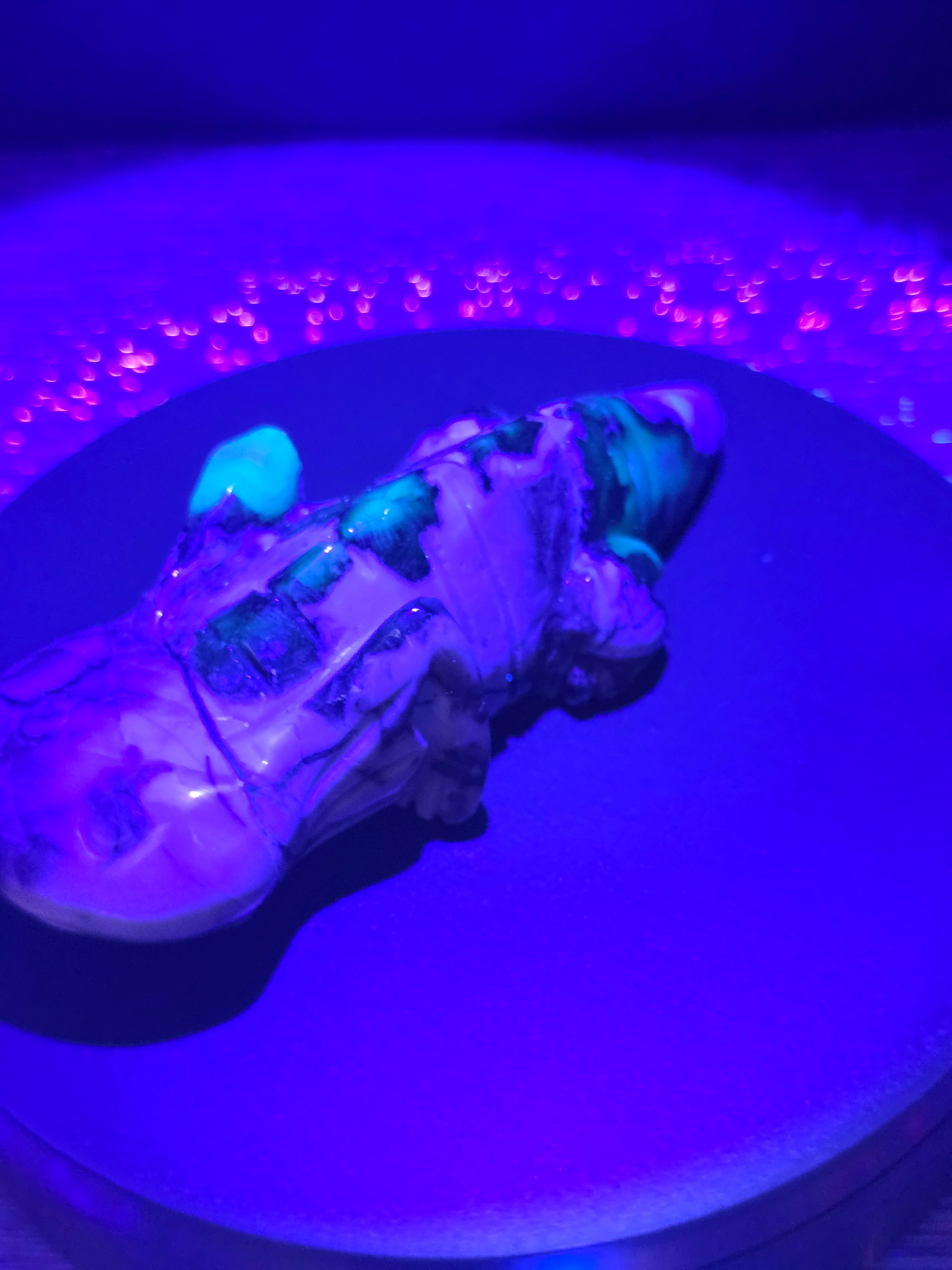 Volcano Agate Axolotl Carving A