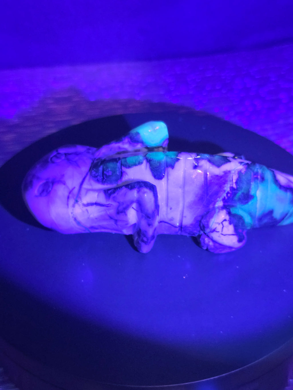Volcano Agate Axolotl Carving A