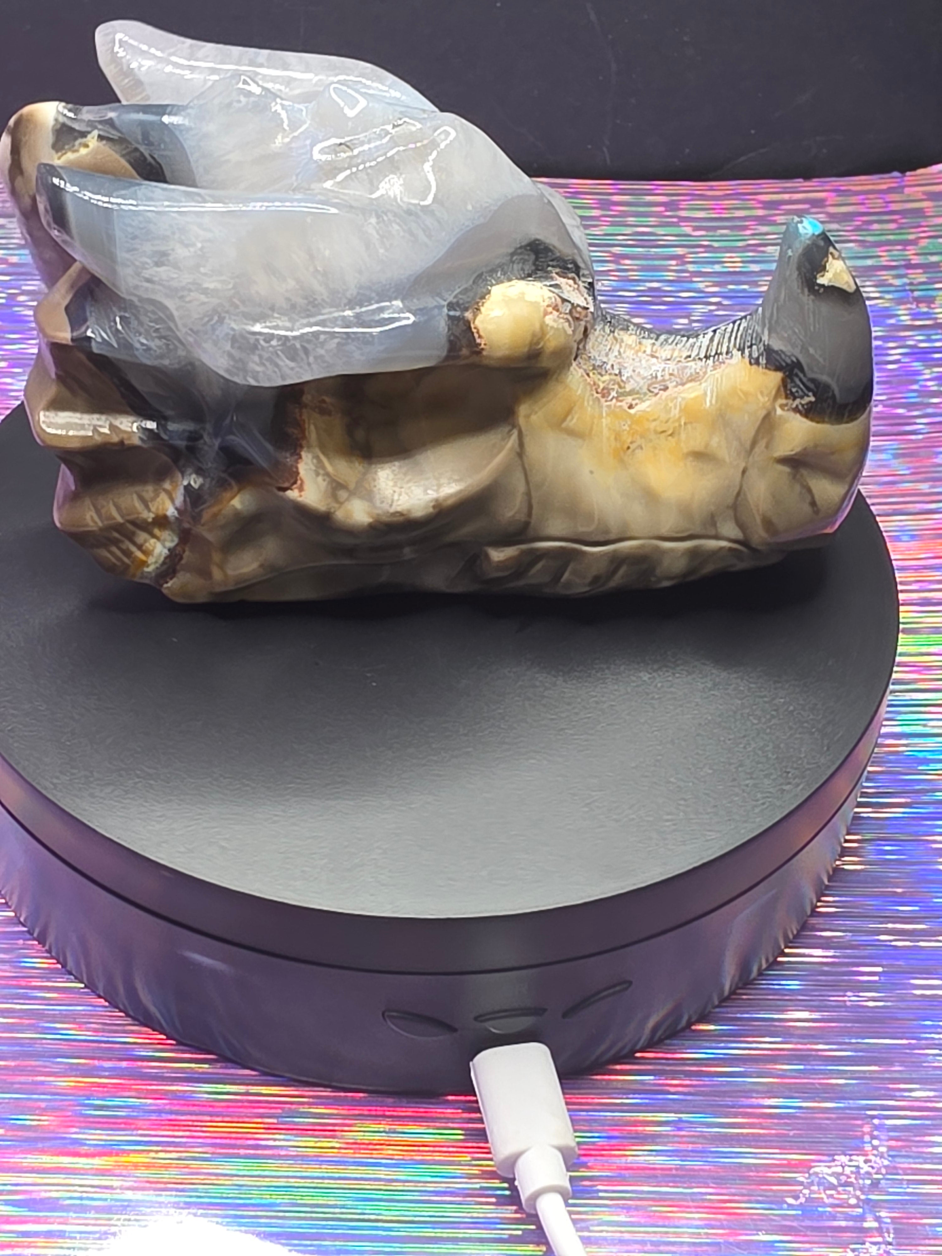 Volcano Agate Dragon Head Carving