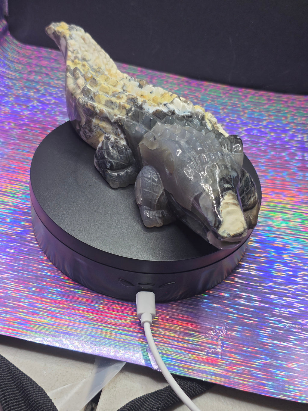 Volcano Agate Large Alligator Carving