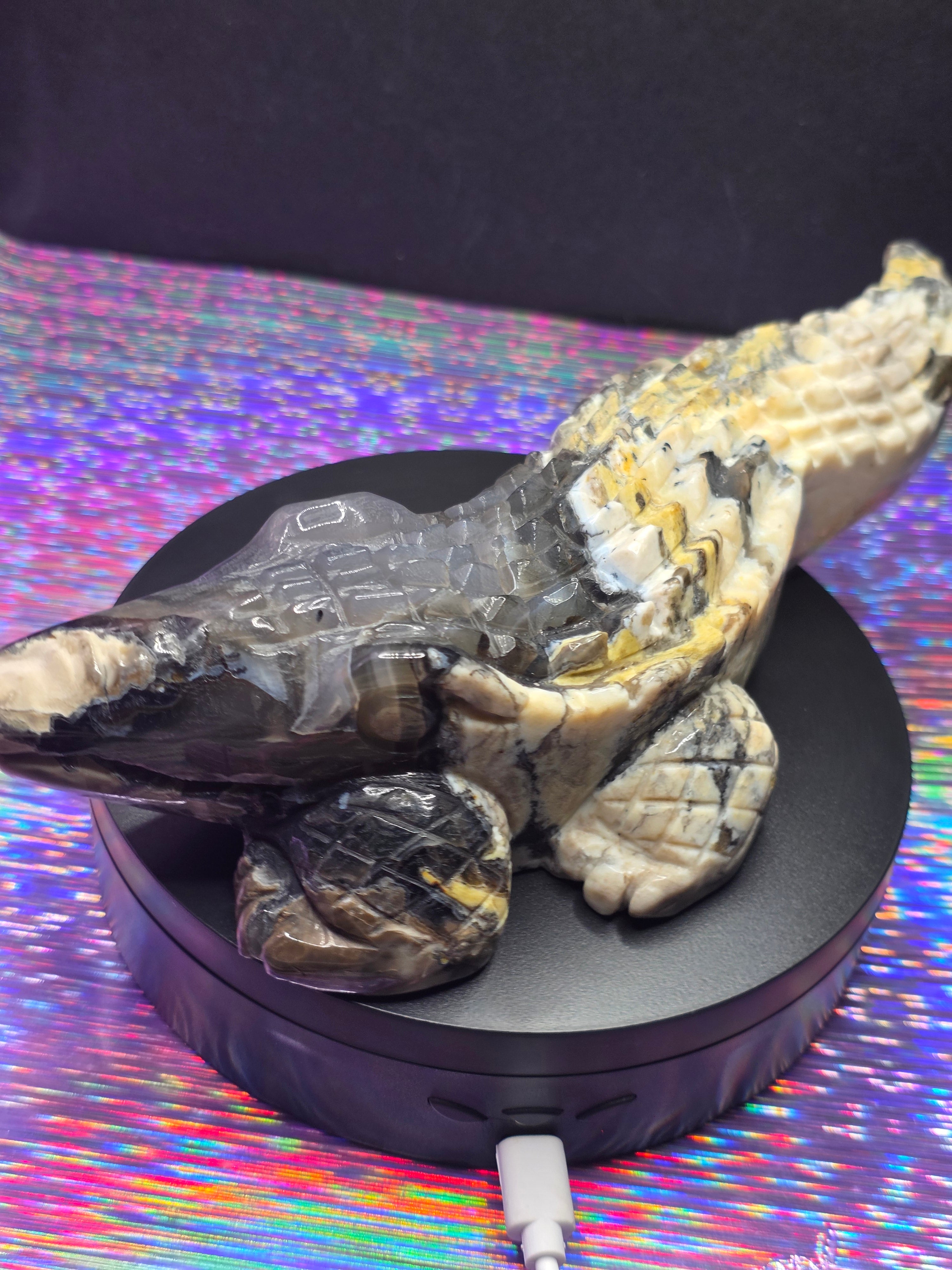 Volcano Agate Large Alligator Carving