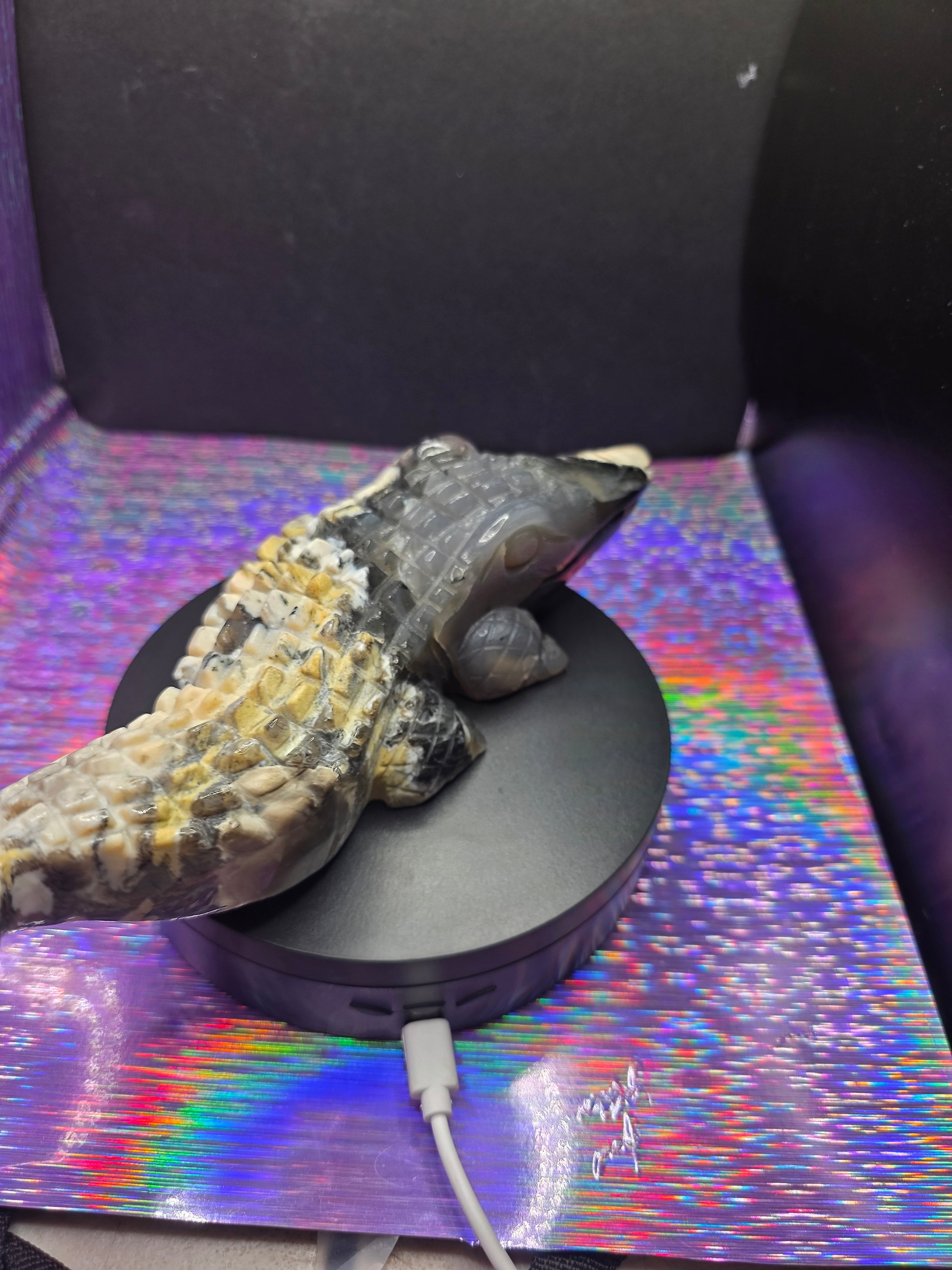 Volcano Agate Large Alligator Carving