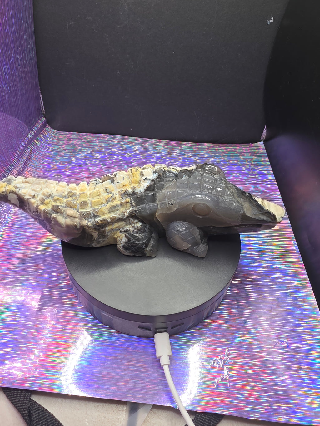 Volcano Agate Large Alligator Carving