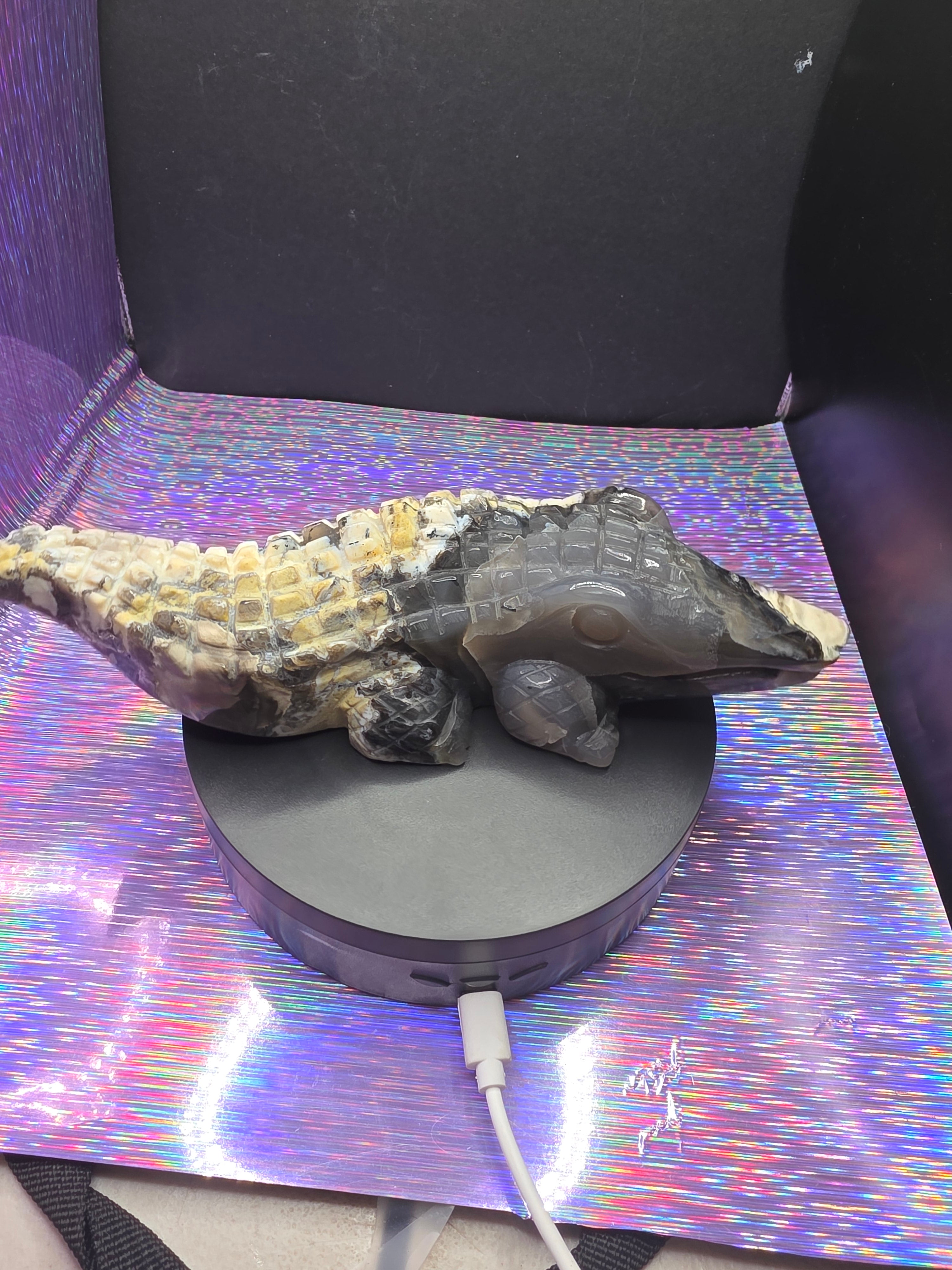 Volcano Agate Large Alligator Carving