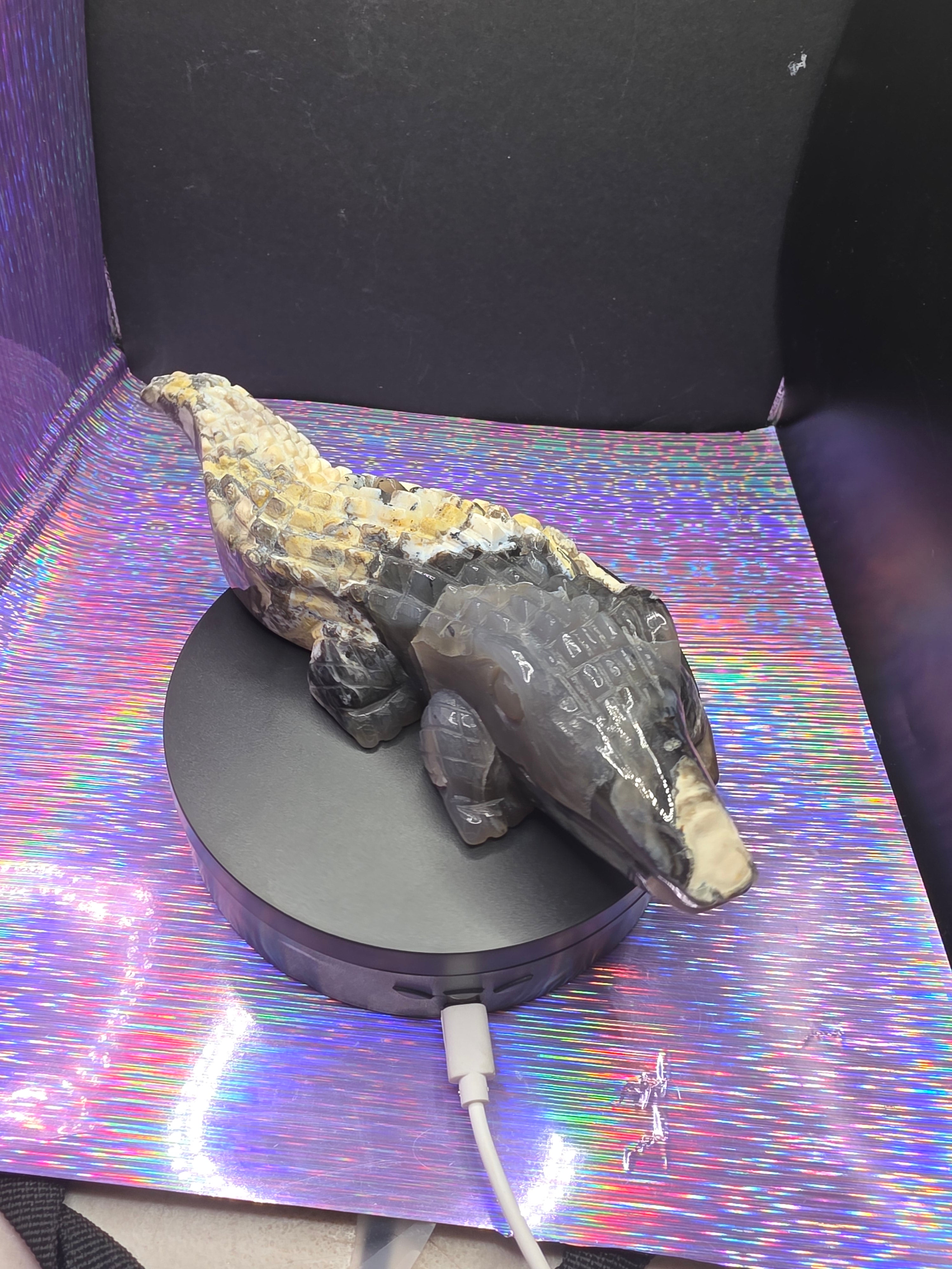 Volcano Agate Large Alligator Carving