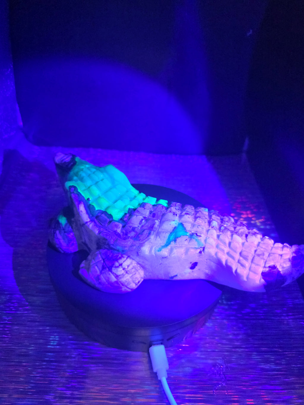Volcano Agate Large Alligator Carving