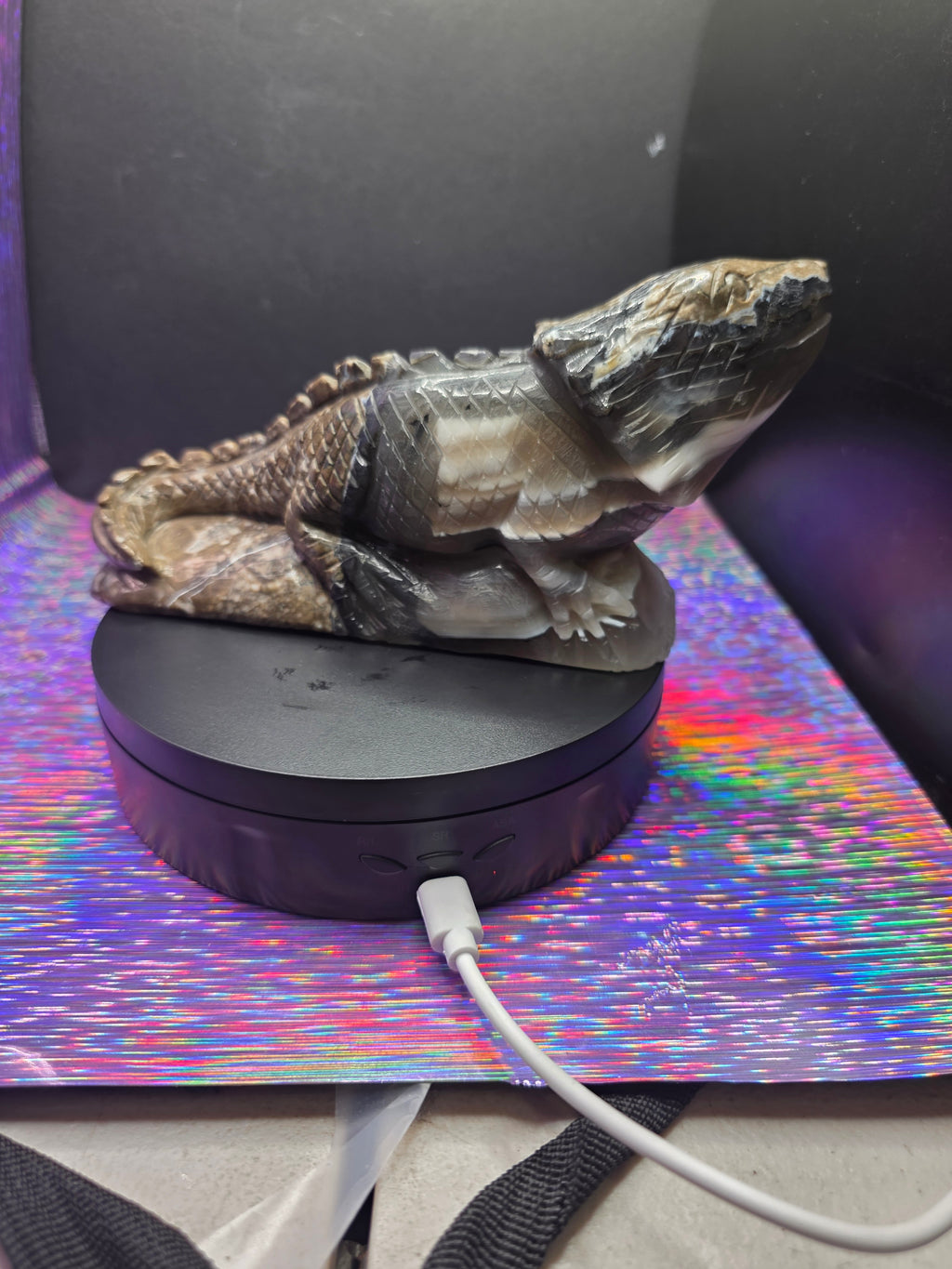 Volcano Agate Large Lizard Carving