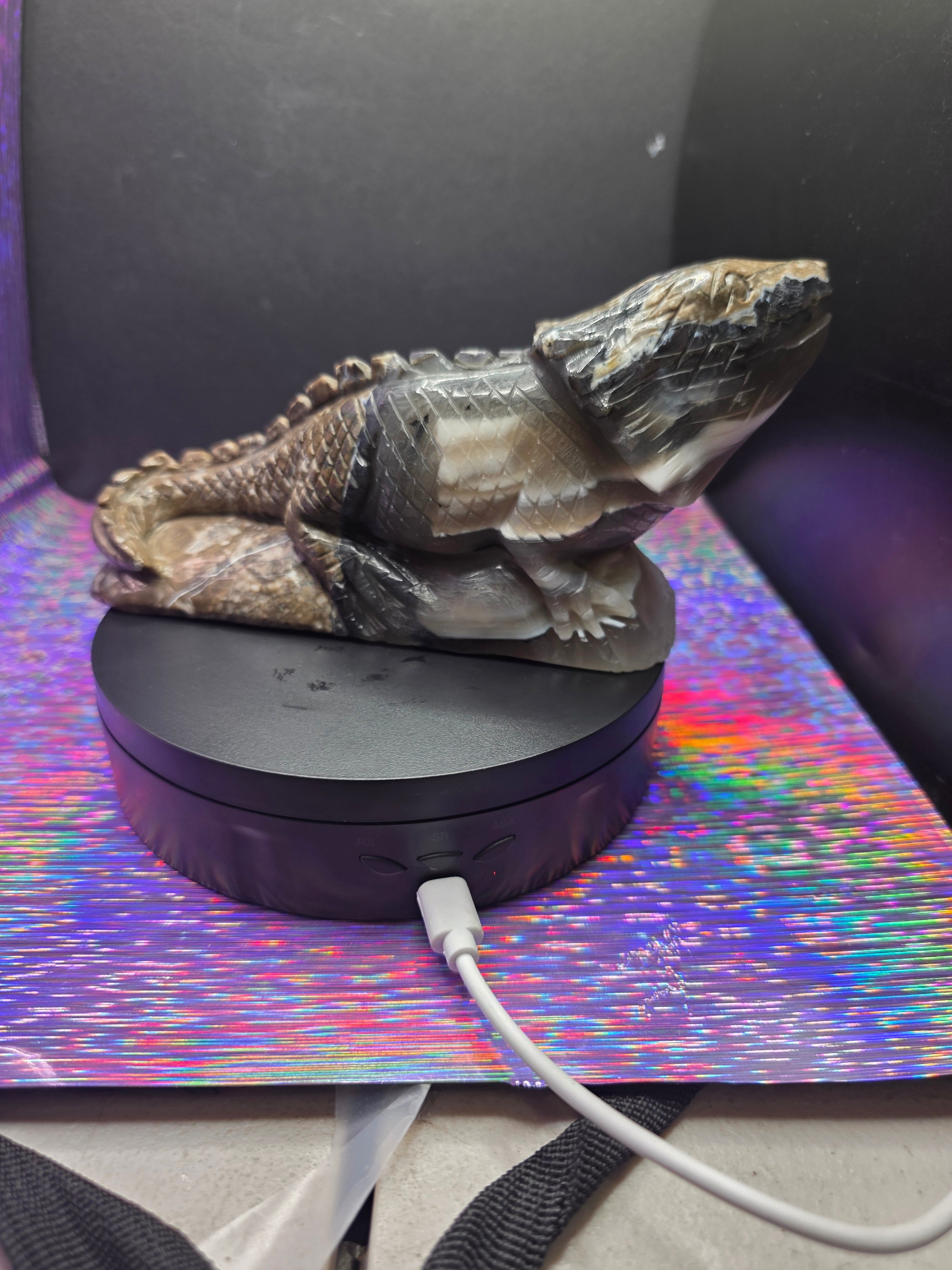 Volcano Agate Large Lizard Carving