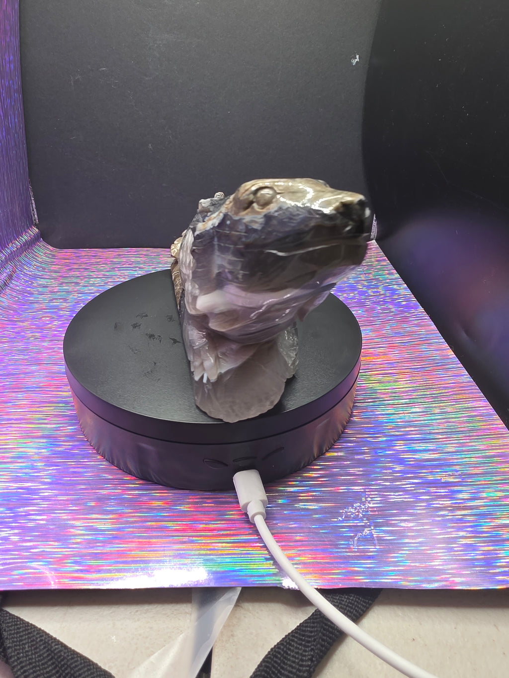 Volcano Agate Large Lizard Carving
