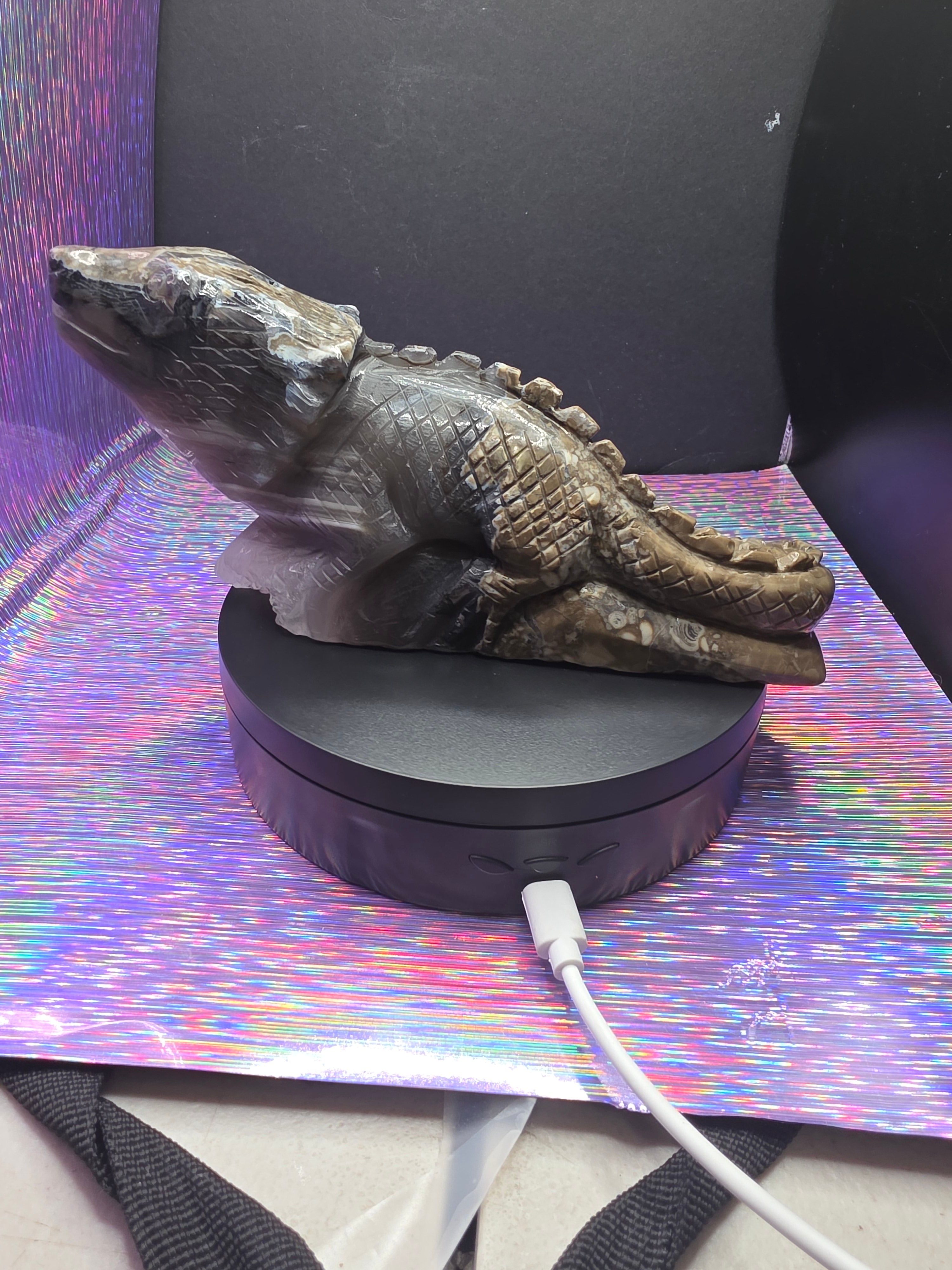 Volcano Agate Large Lizard Carving