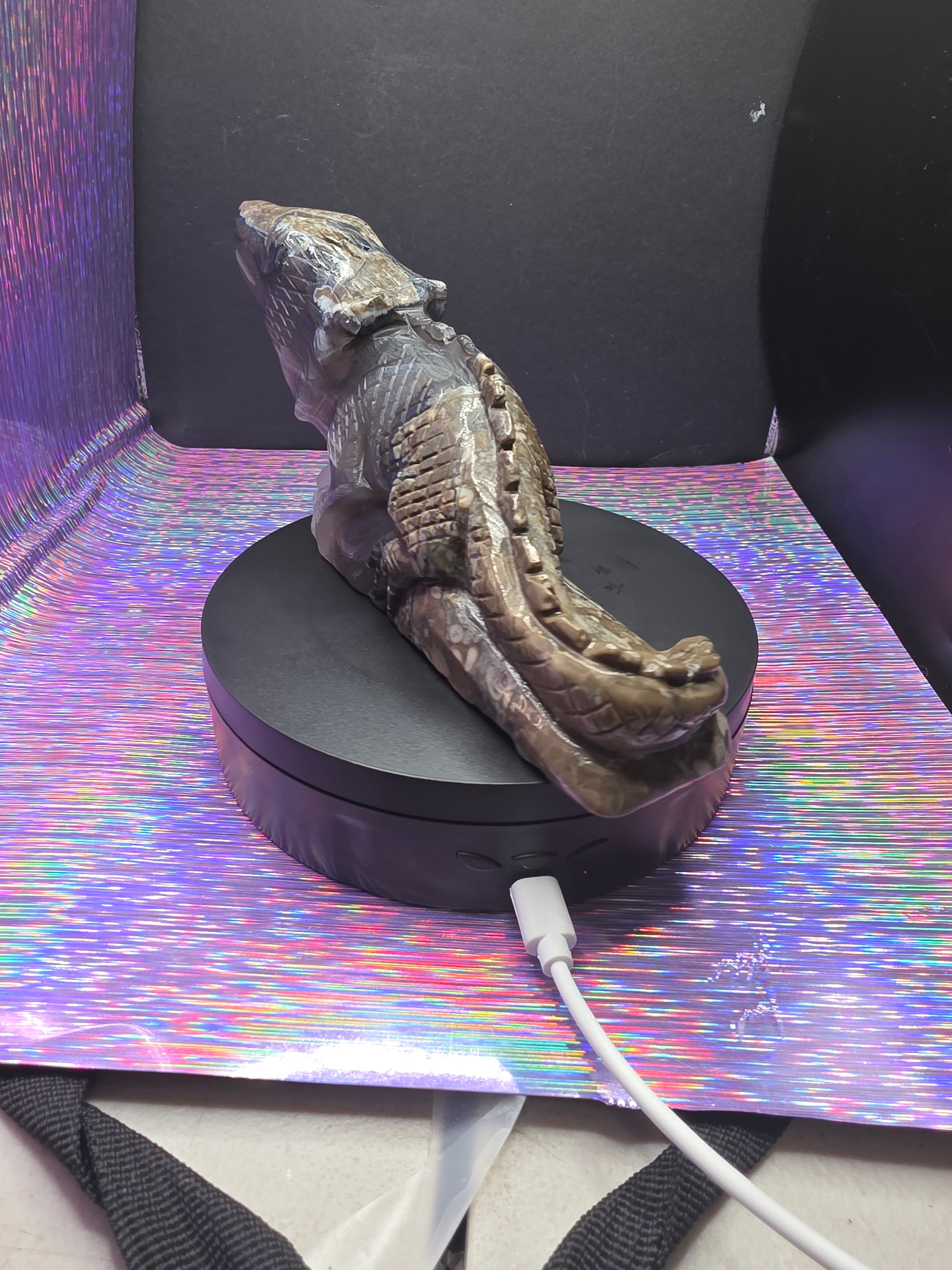 Volcano Agate Large Lizard Carving