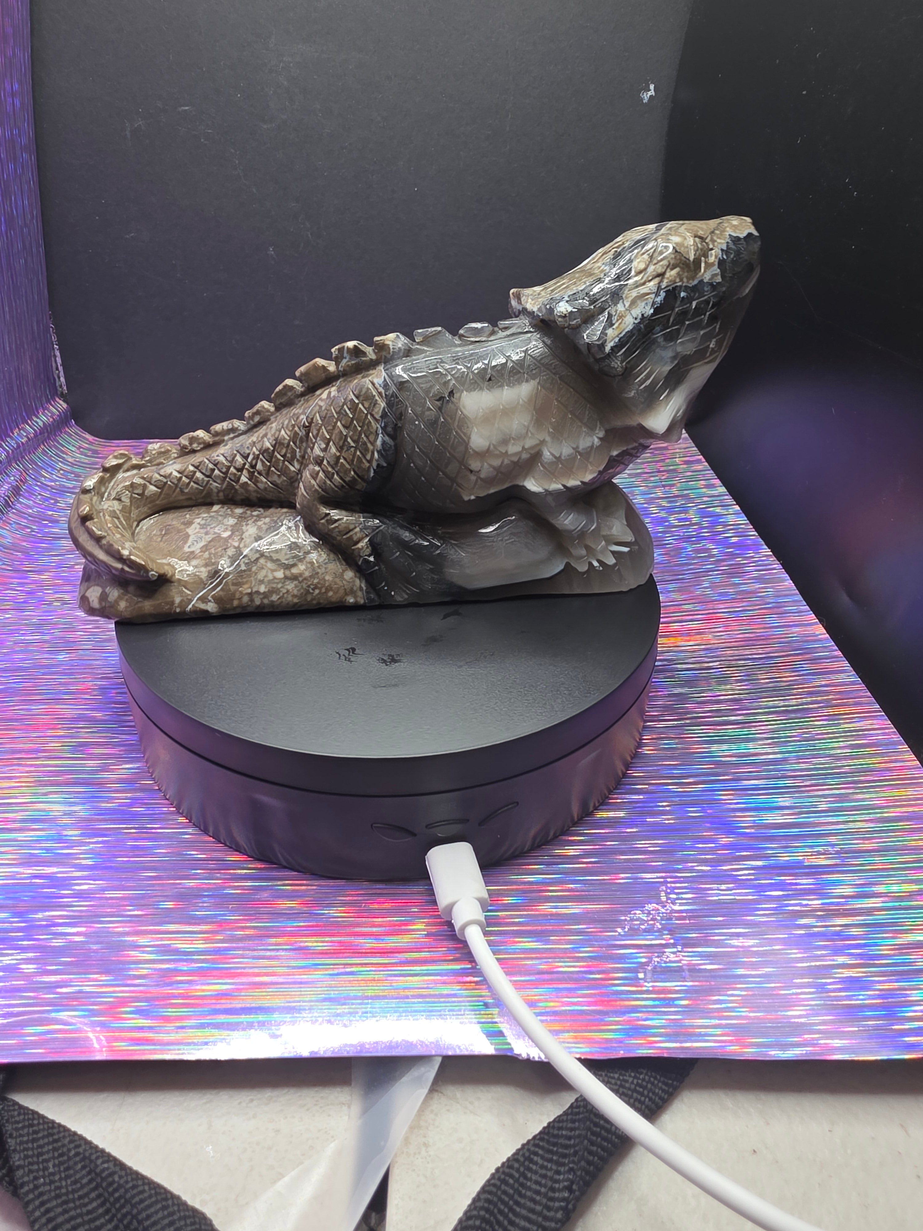Volcano Agate Large Lizard Carving
