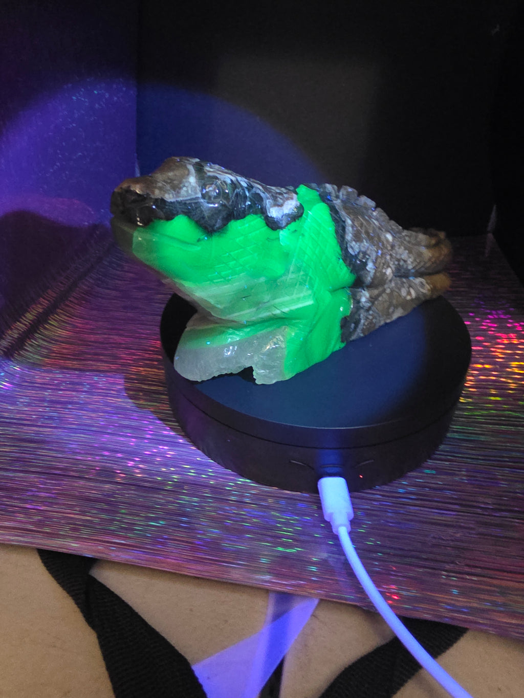 Volcano Agate Large Lizard Carving