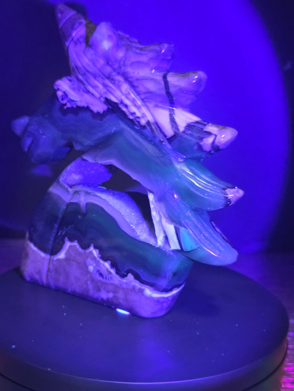 Volcano Agate Unicorn Head