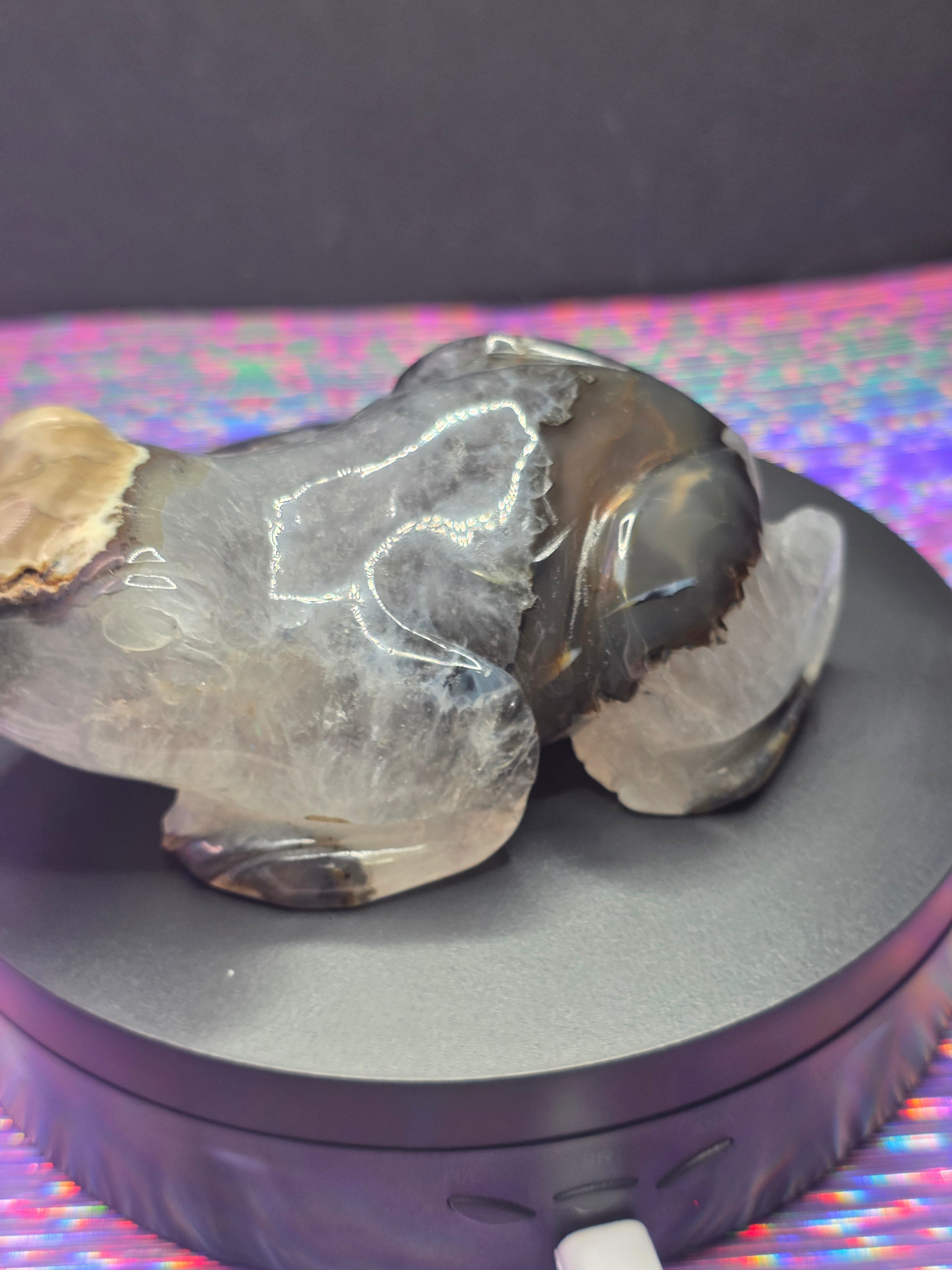 Volcano Agate Frog Carving