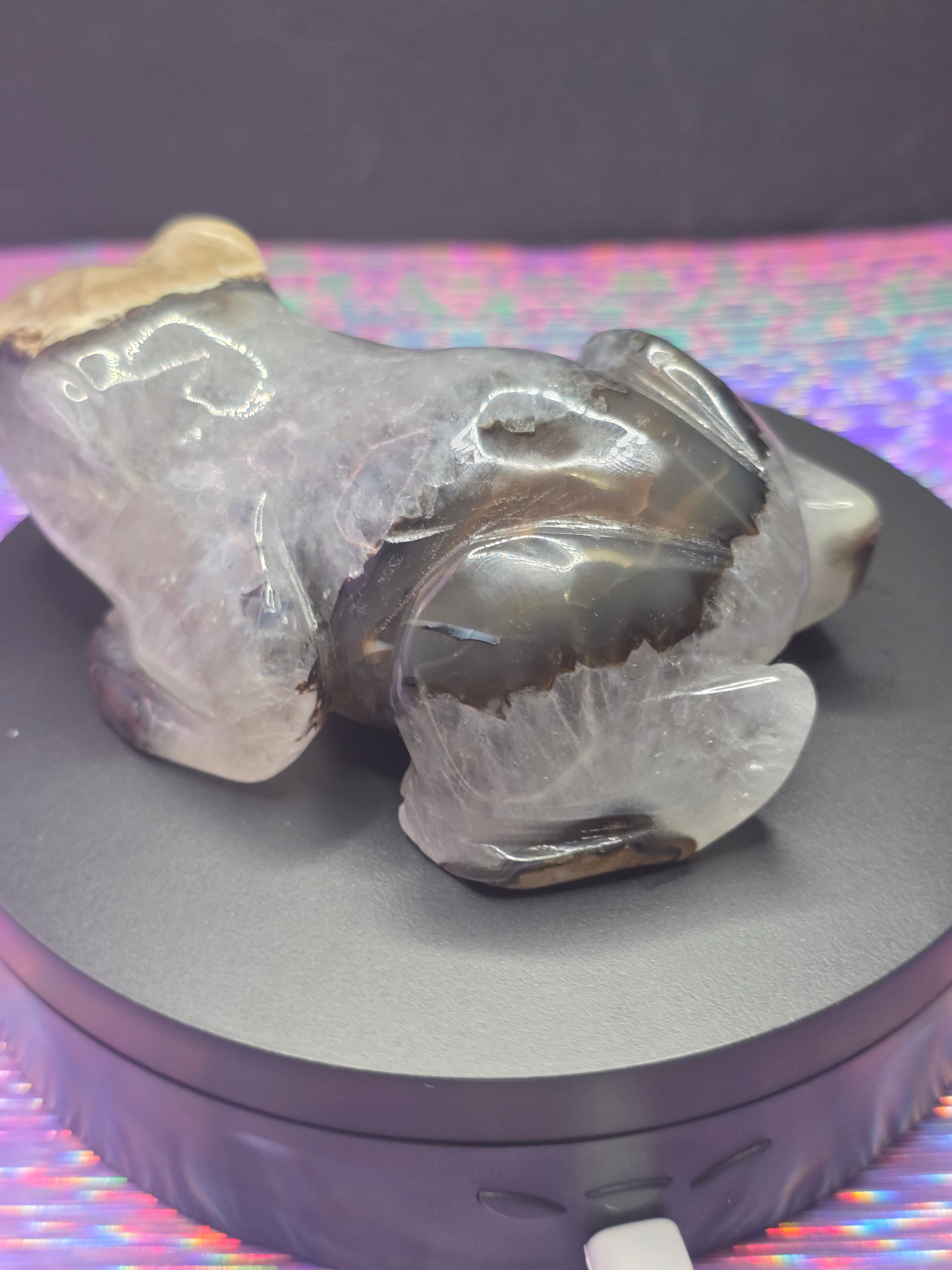 Volcano Agate Frog Carving