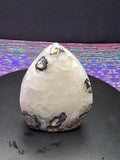 Volcano Agate Teardrop C