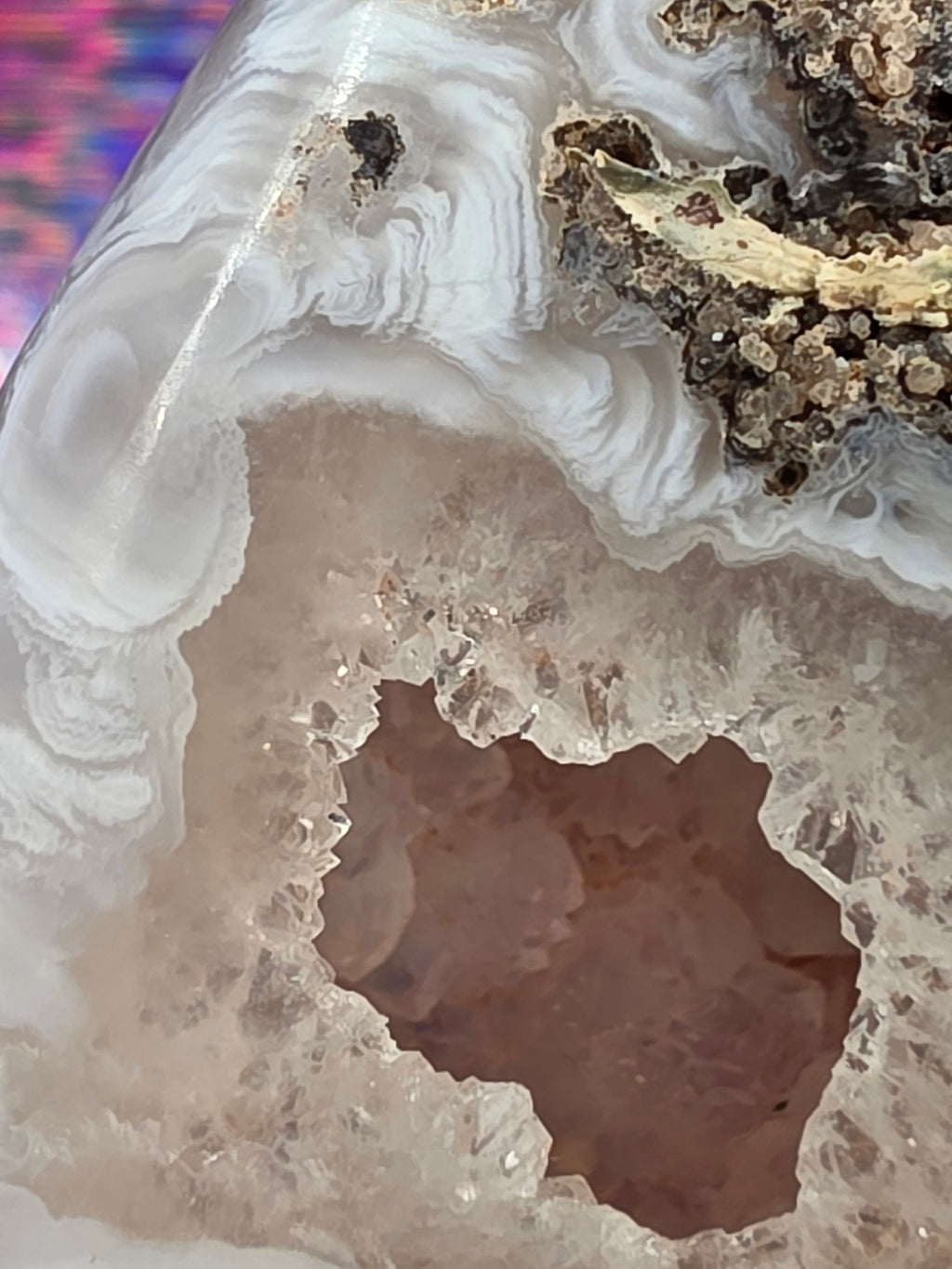Volcano Agate Teardrop D