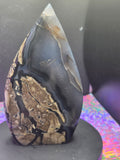 Large Volcano Agate Teardrop A