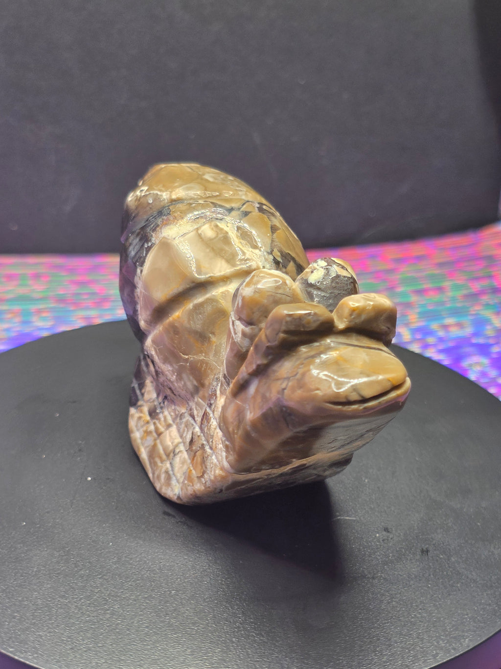 Volcano Agate Snail Carving A