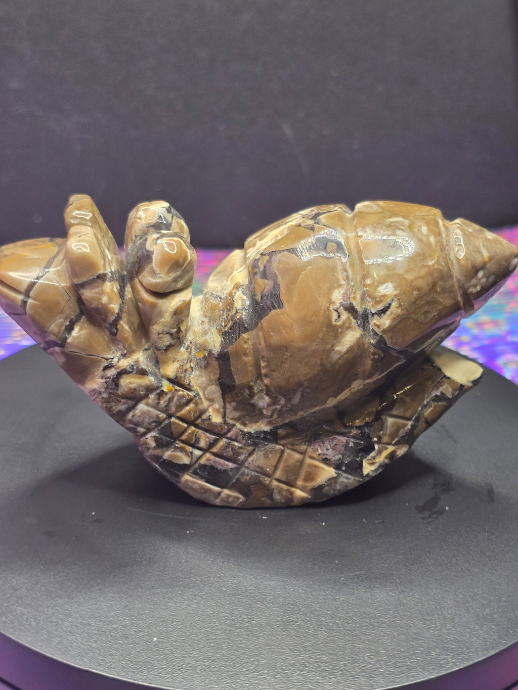 Volcano Agate Snail Carving A