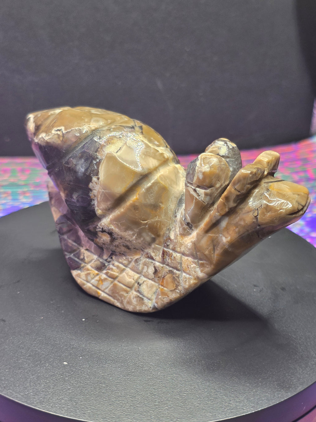 Volcano Agate Snail Carving A