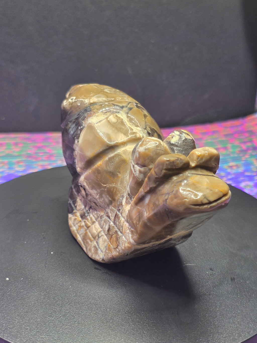Volcano Agate Snail Carving A