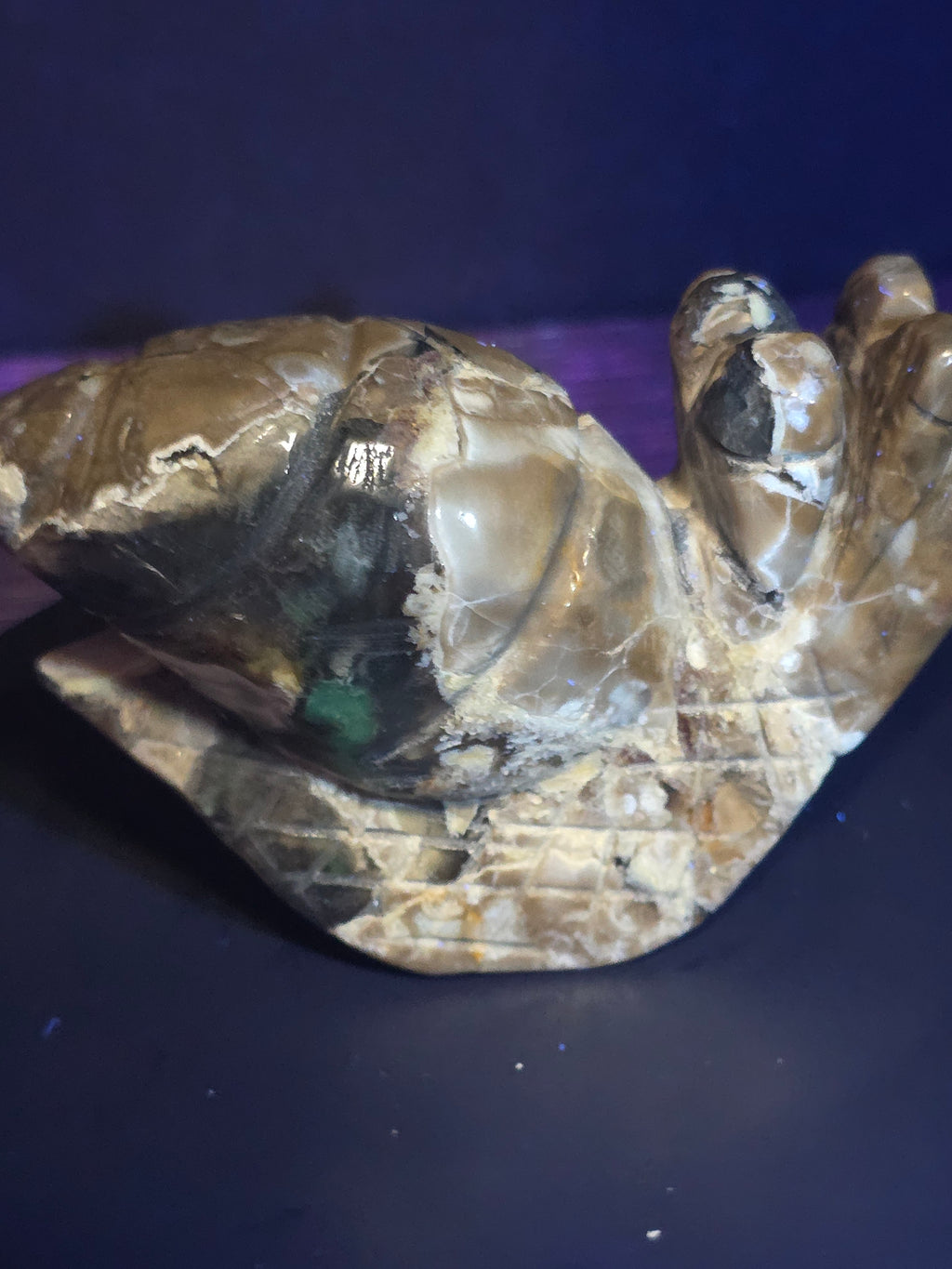 Volcano Agate Snail Carving A
