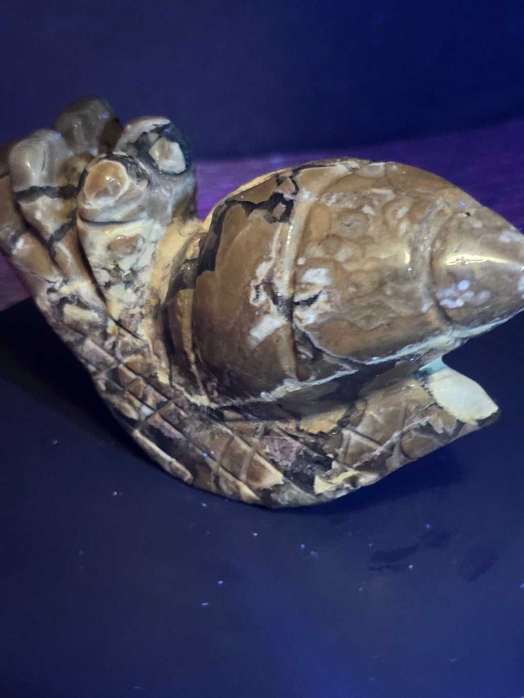 Volcano Agate Snail Carving A