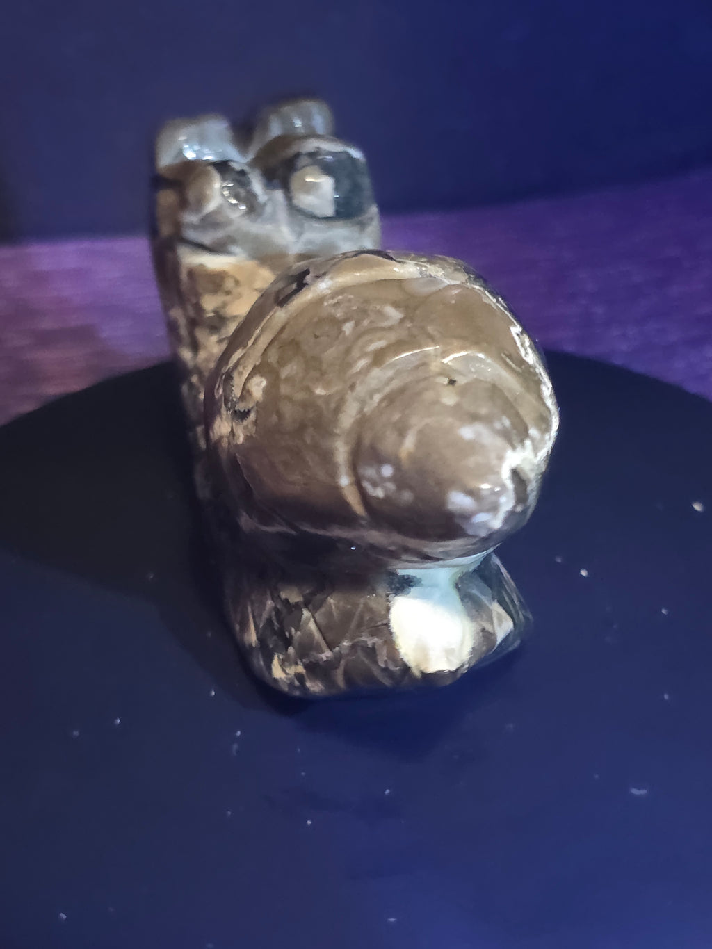 Volcano Agate Snail Carving A