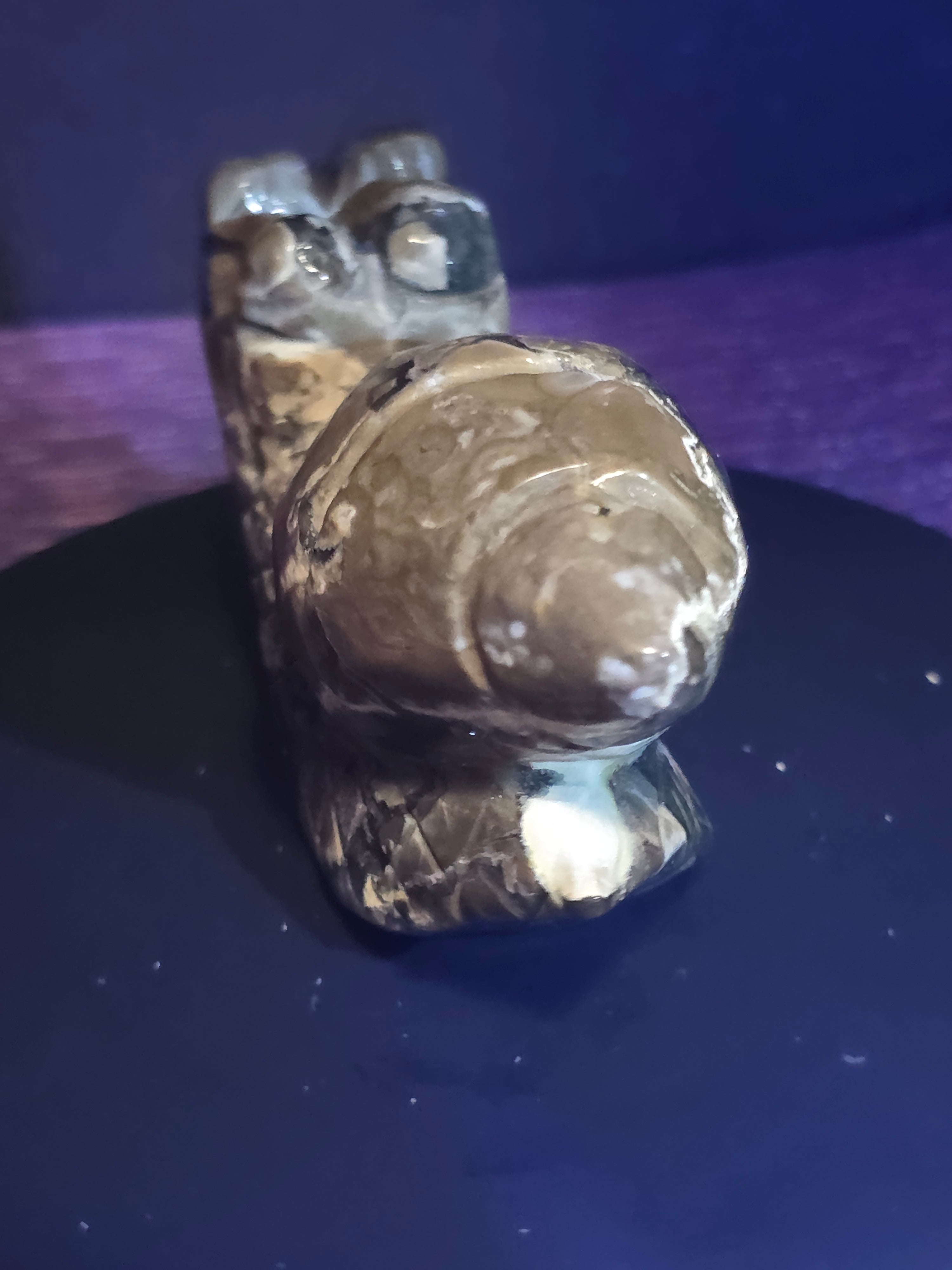Volcano Agate Snail Carving A