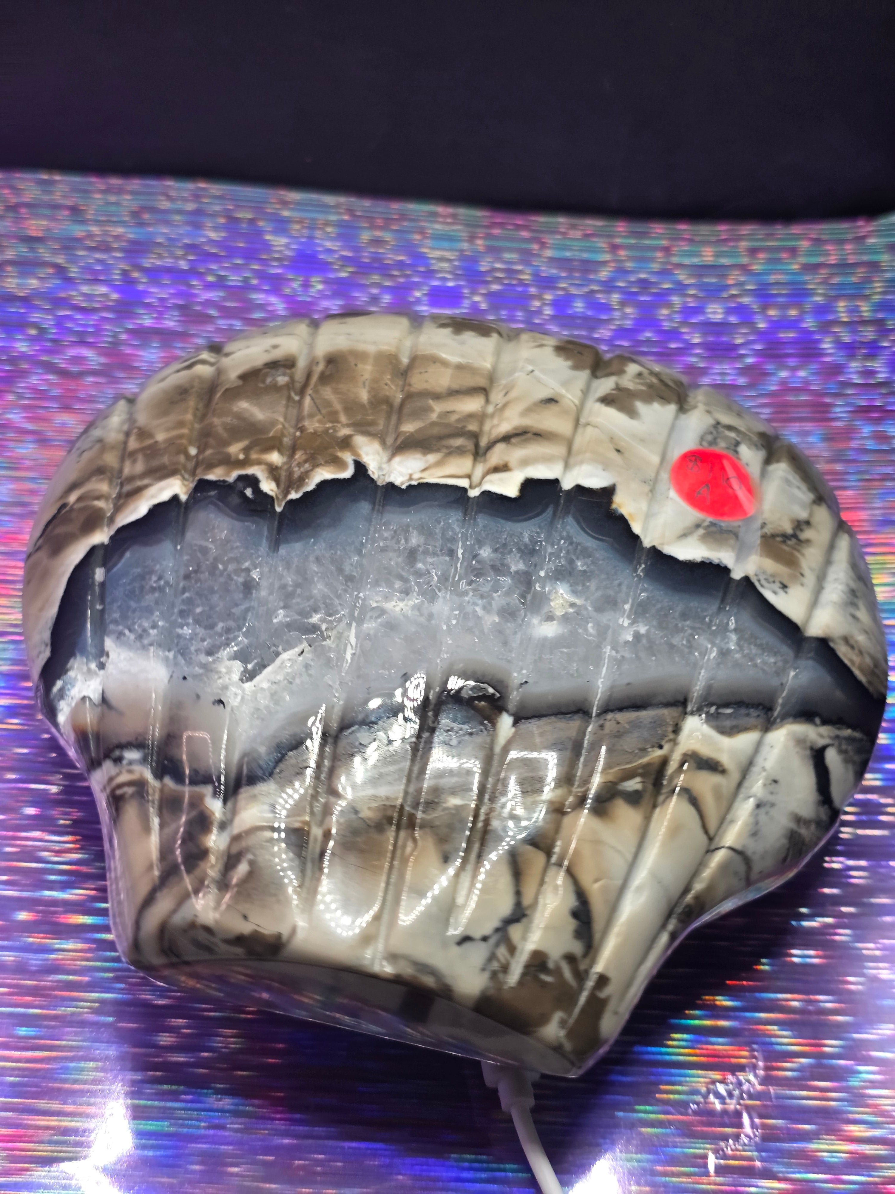 Volcano Agate Shell Bowl A