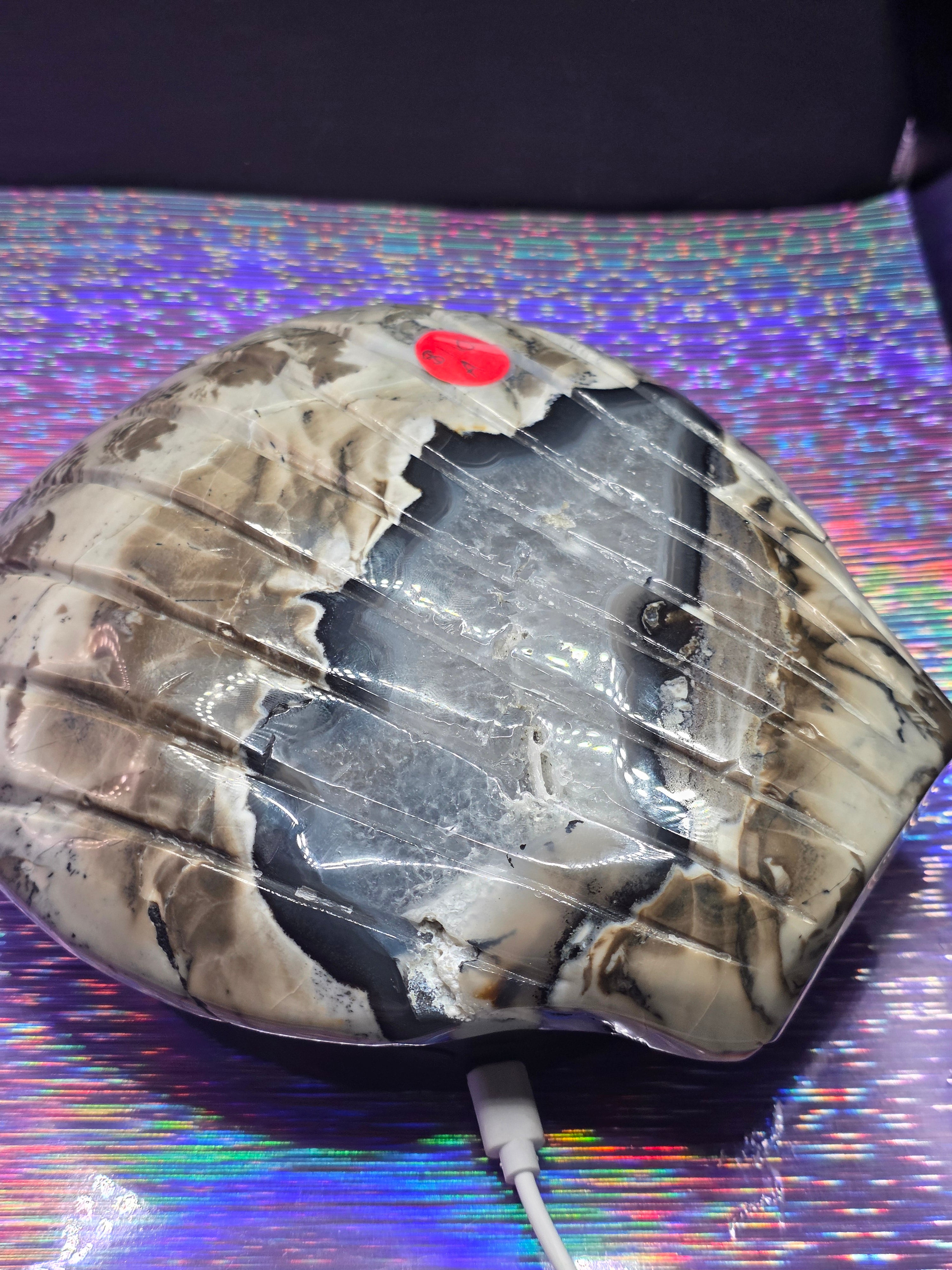 Volcano Agate Shell Bowl A