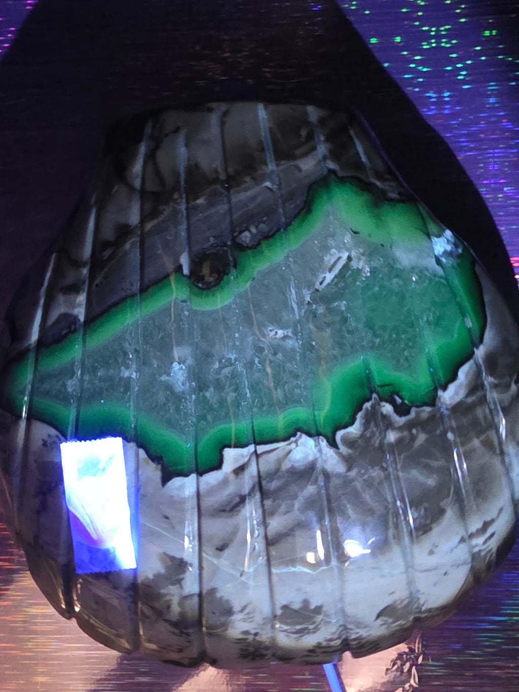 Volcano Agate Shell Bowl A