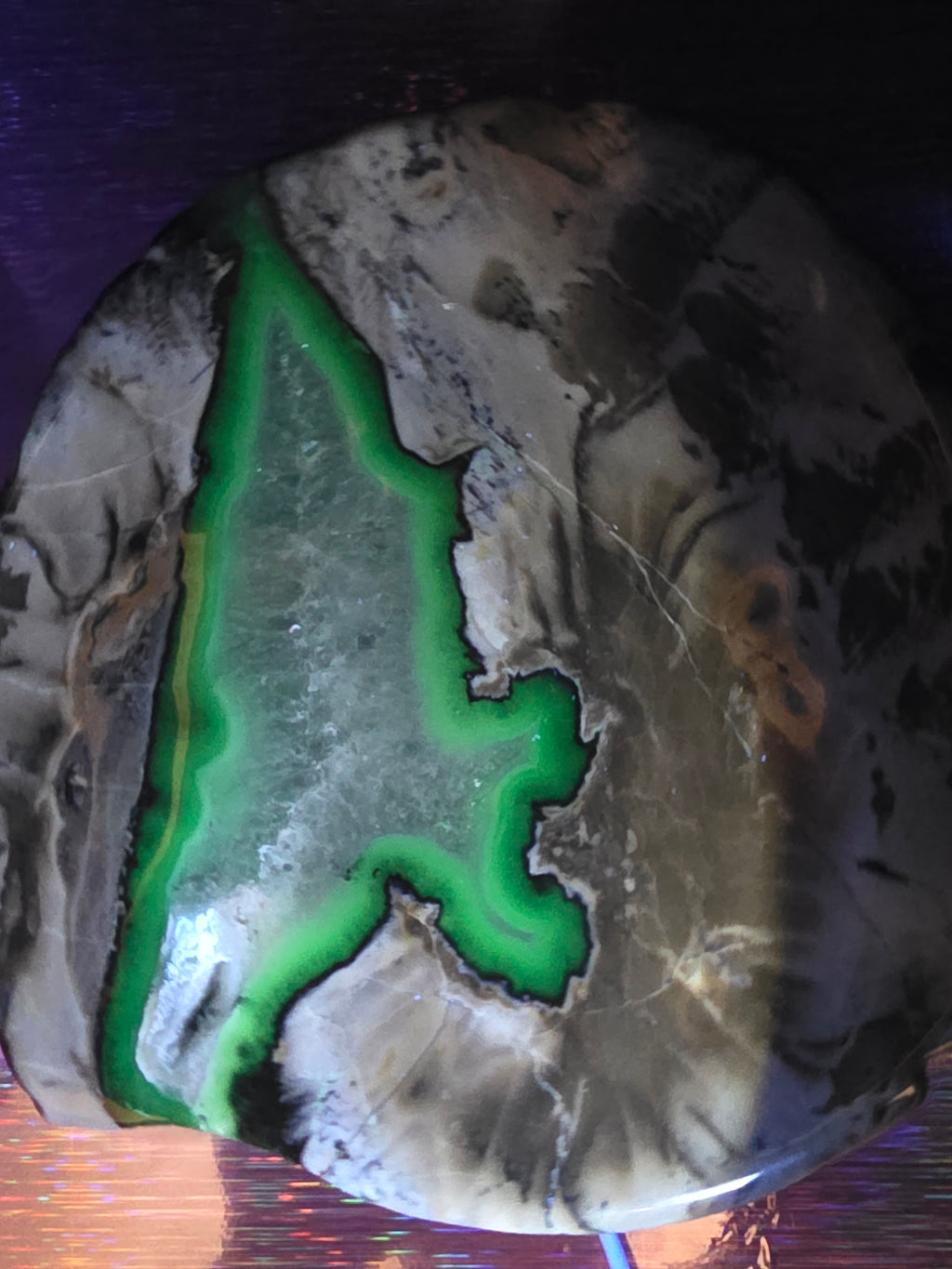 Volcano Agate Shell Bowl A