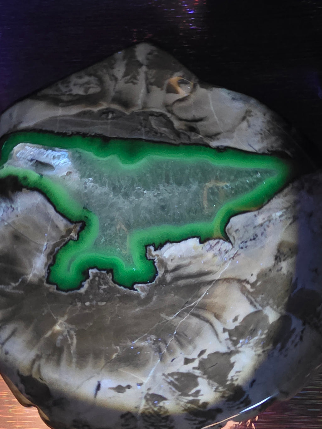 Volcano Agate Shell Bowl A