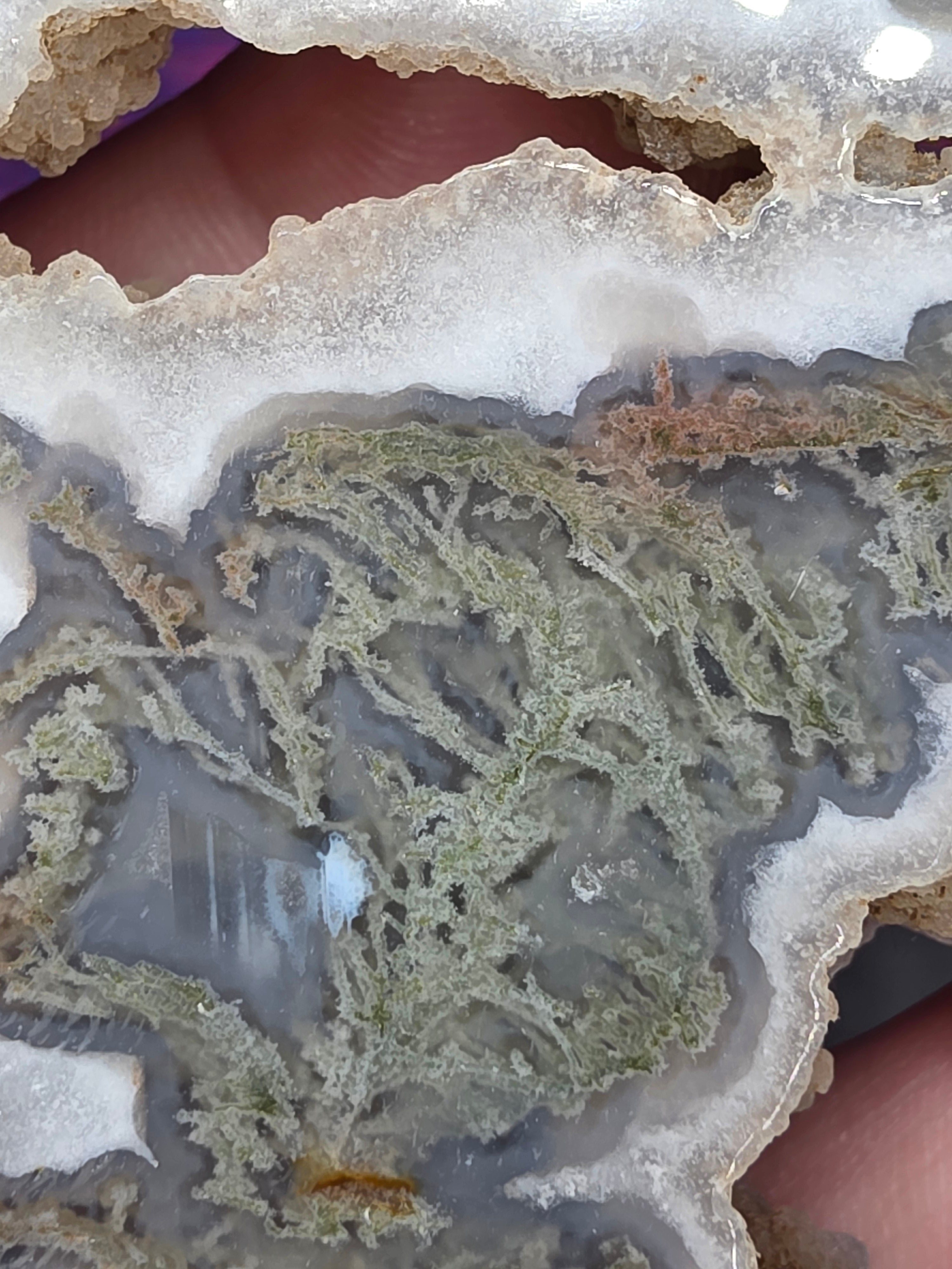 Moss Agate Moon E