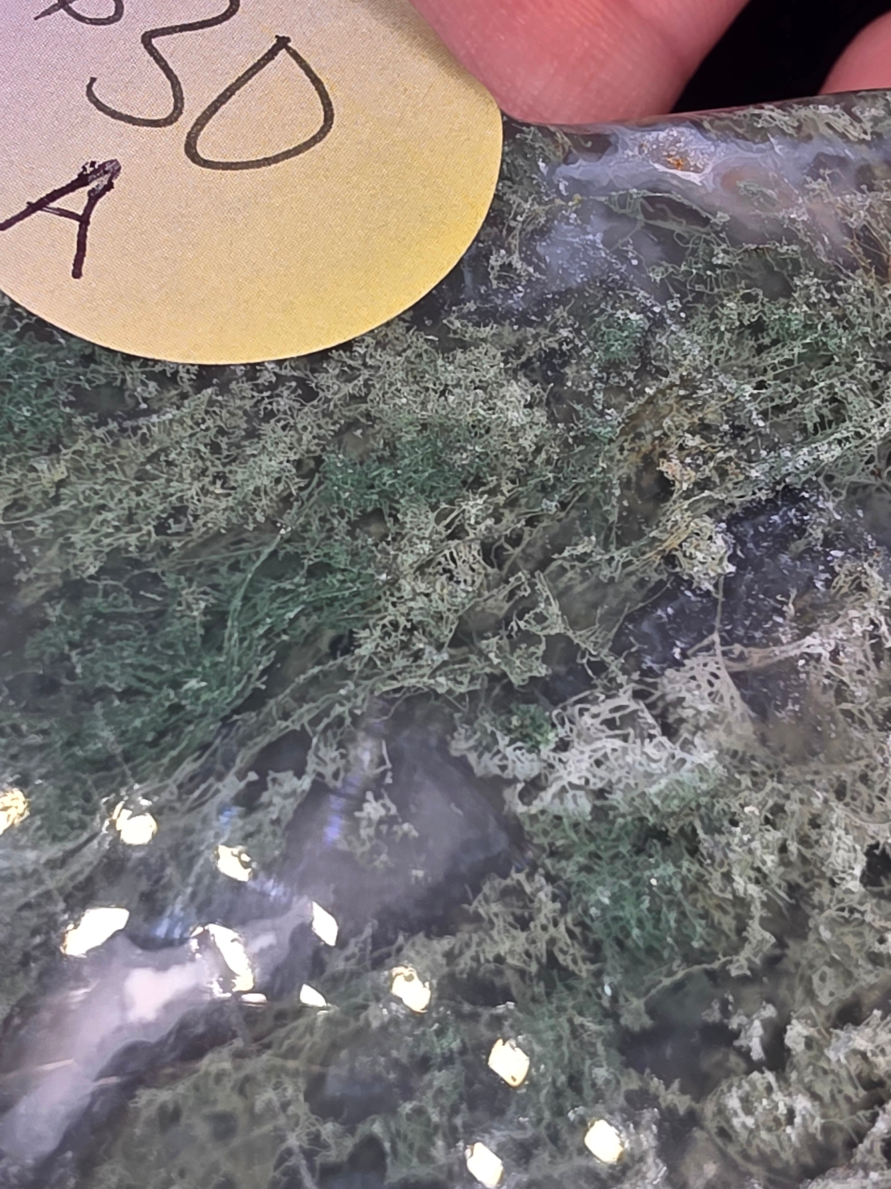 Moss Agate Star A