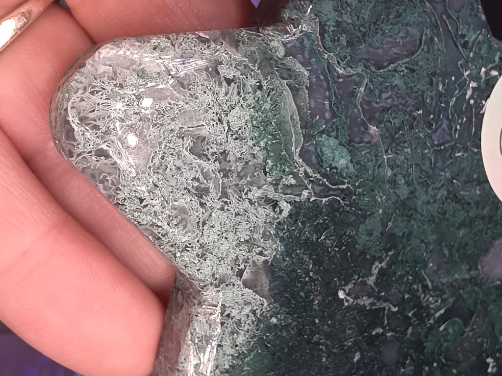 Moss Agate Star C