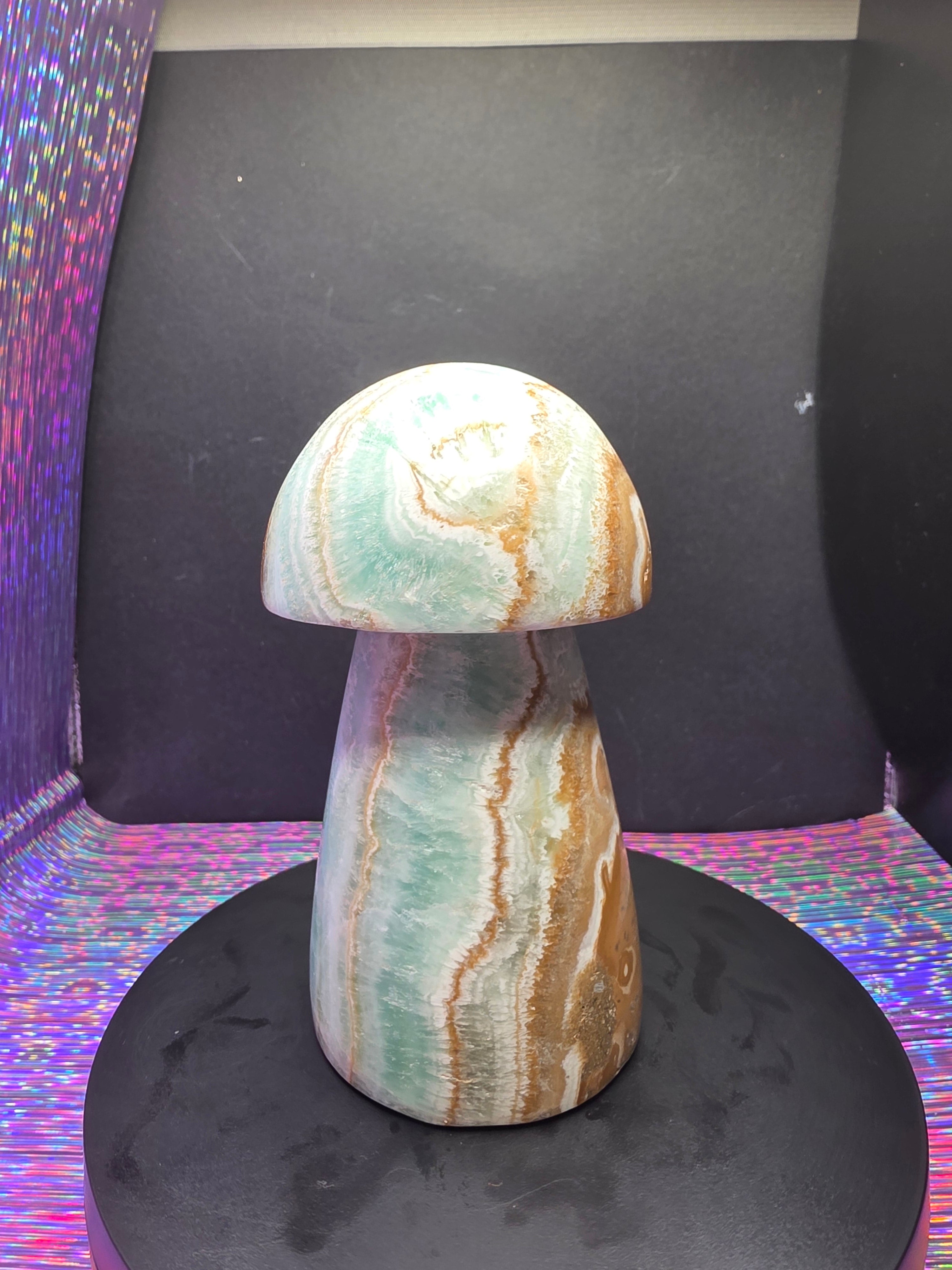 Large Caribbean Calcite Mushroom Carving