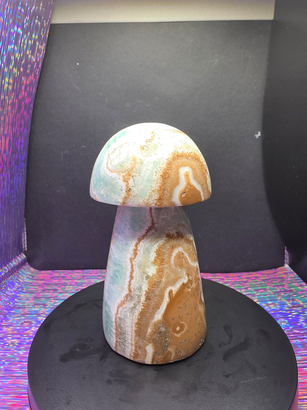Large Caribbean Calcite Mushroom Carving