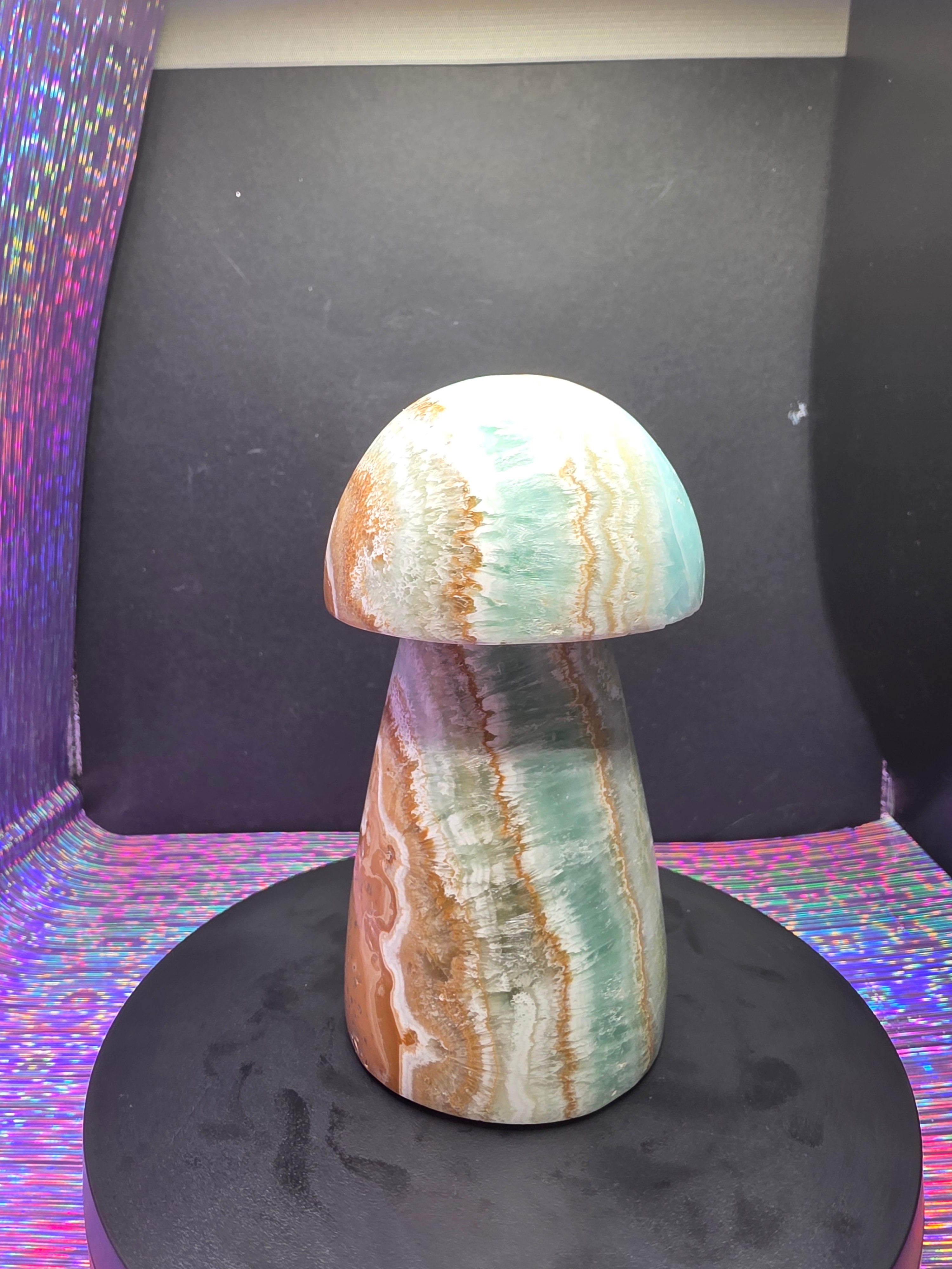 Large Caribbean Calcite Mushroom Carving