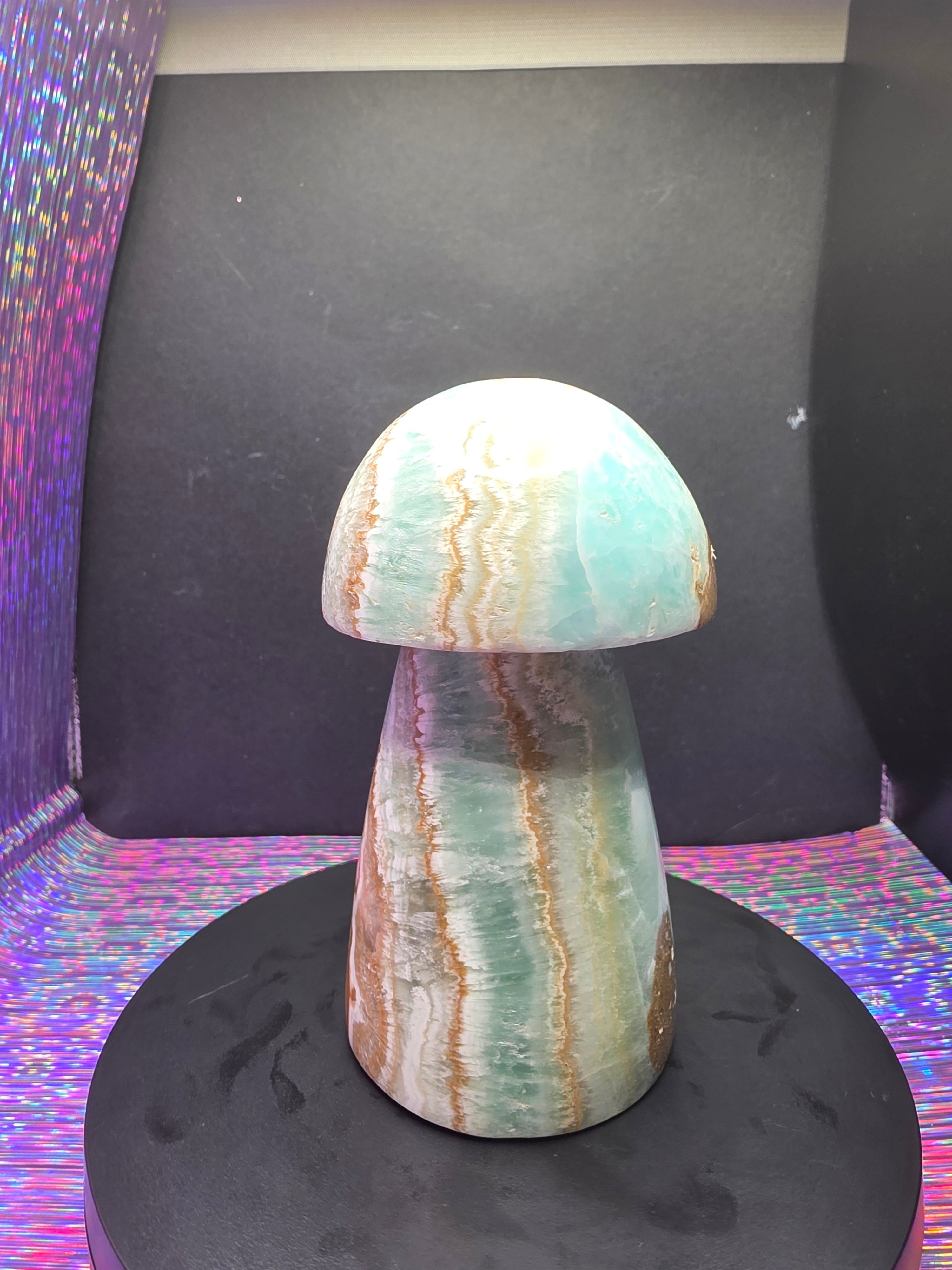 Large Caribbean Calcite Mushroom Carving