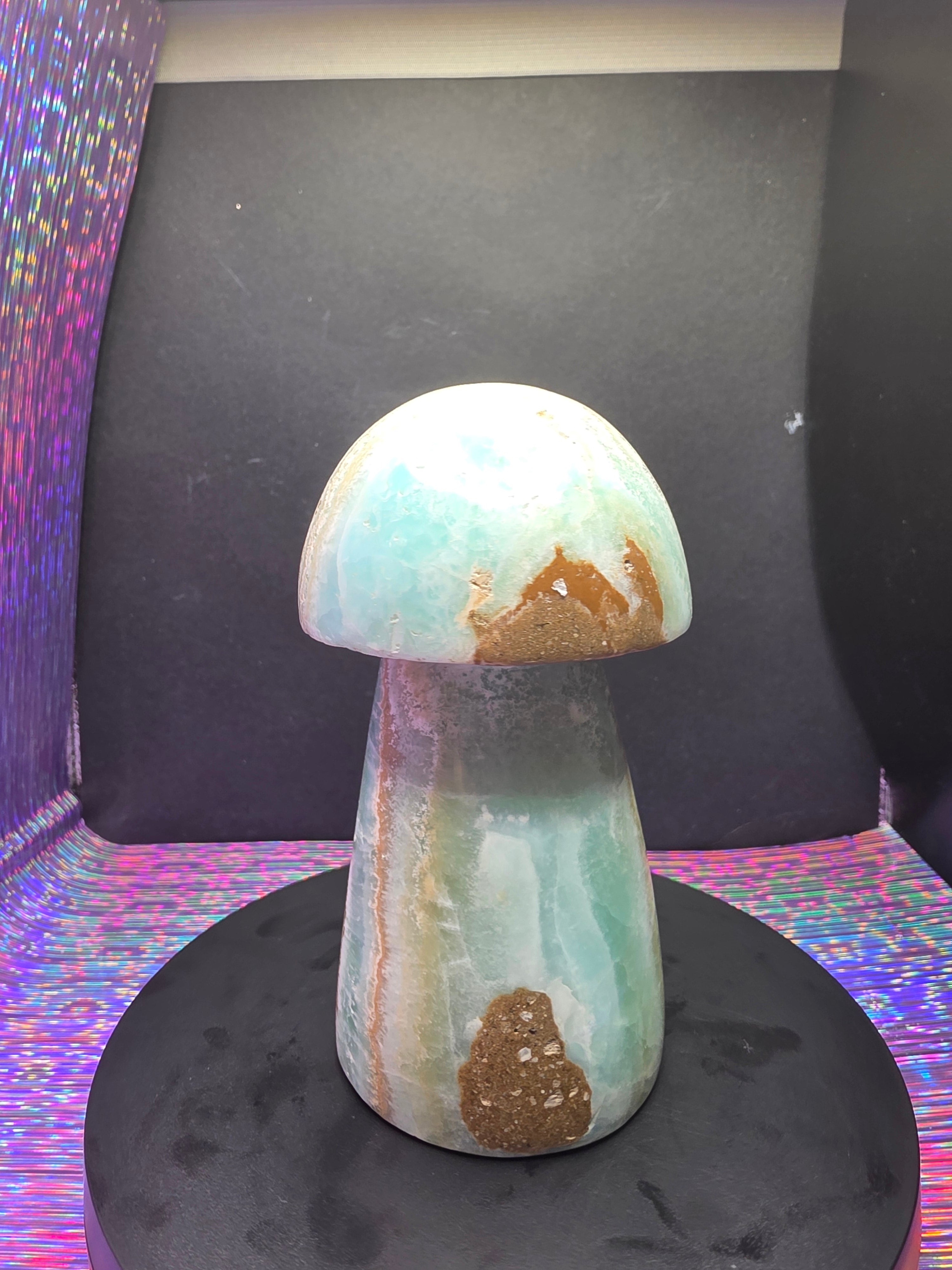 Large Caribbean Calcite Mushroom Carving