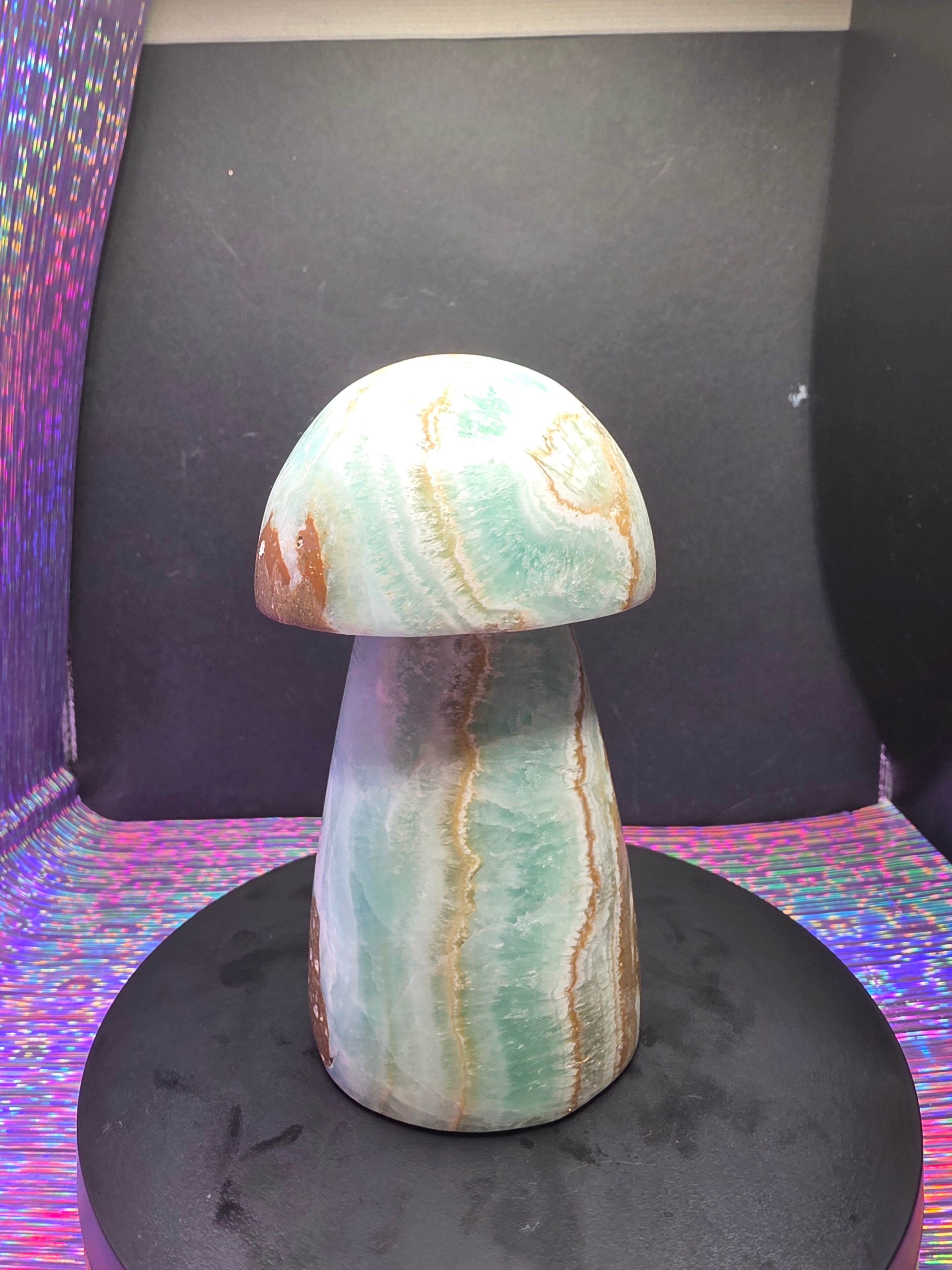 Large Caribbean Calcite Mushroom Carving