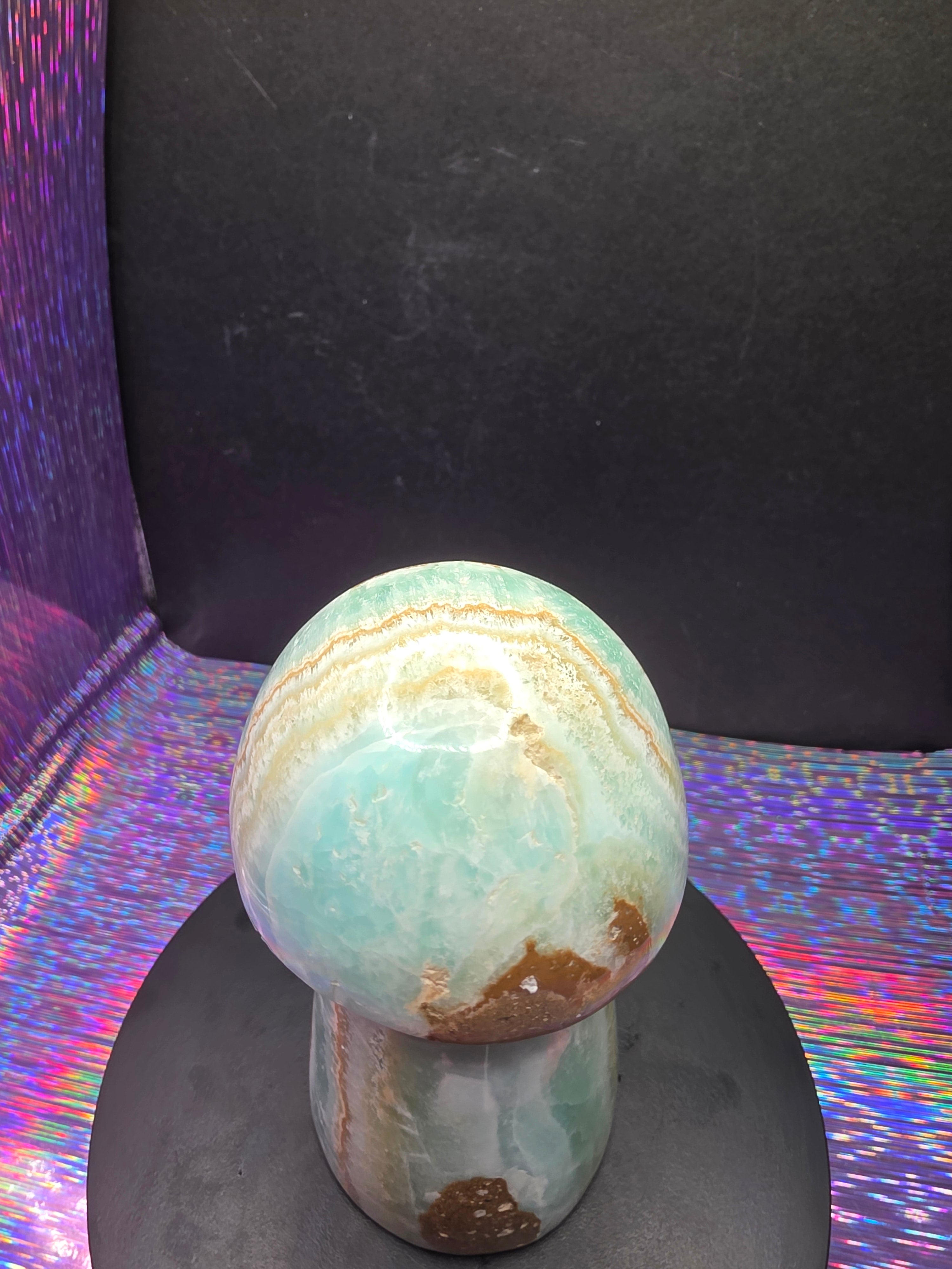 Large Caribbean Calcite Mushroom Carving