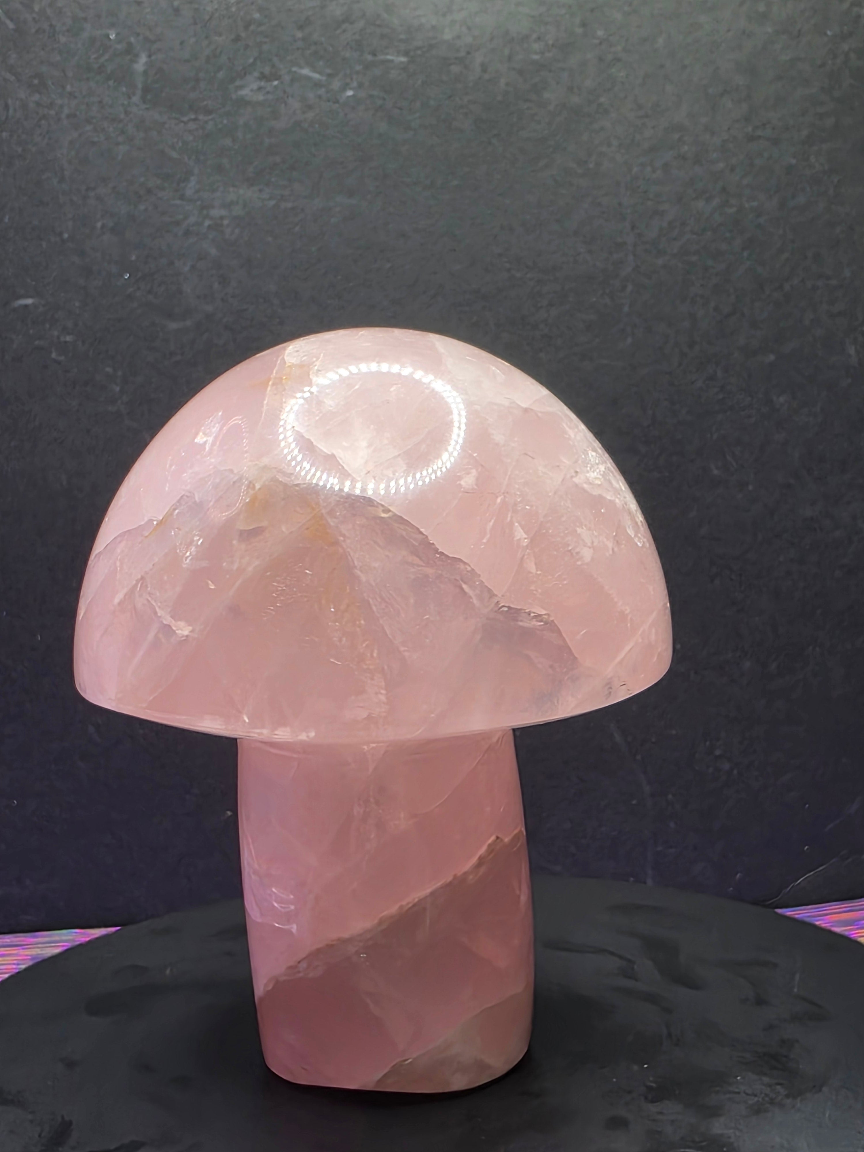 Rose Quartz Mushroom Carving