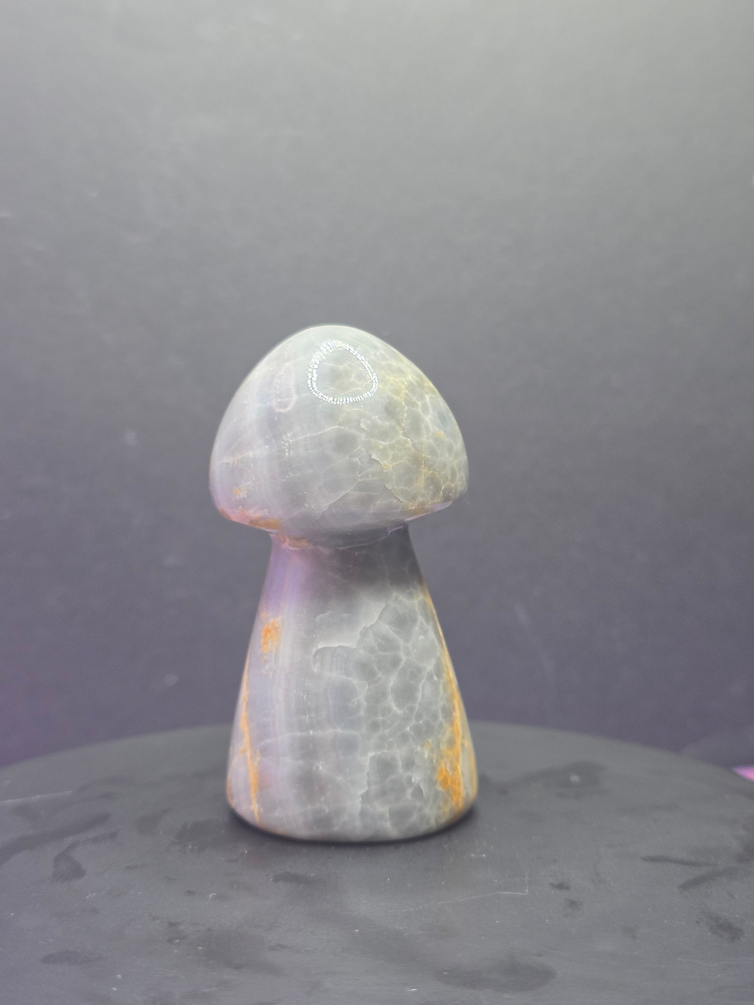 Gray Onyx Mushroom Carving A