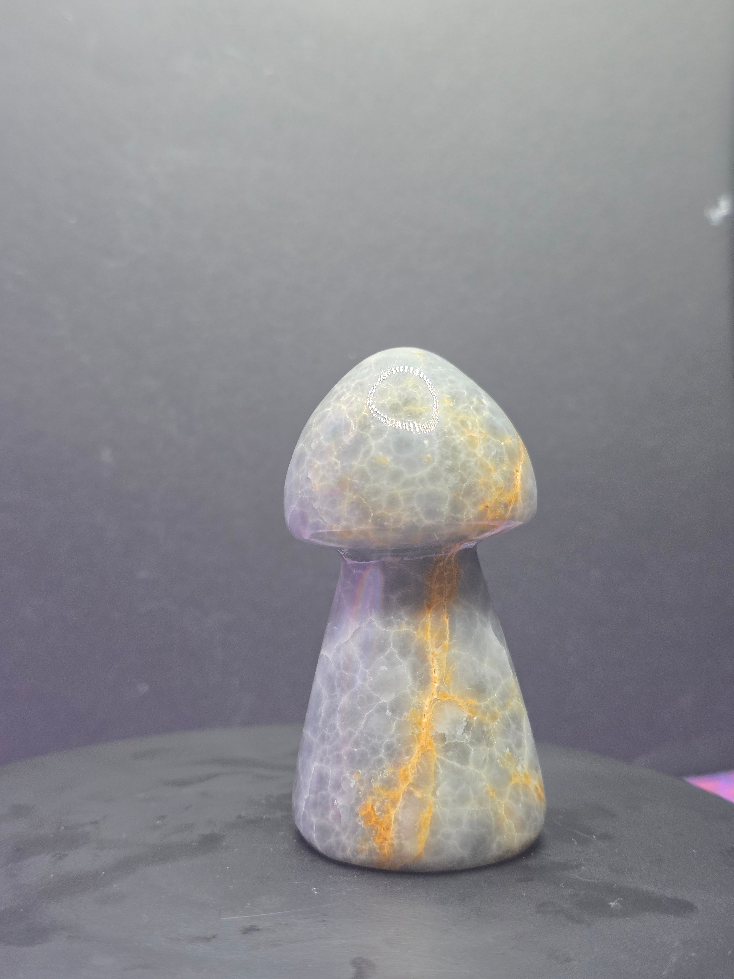 Gray Onyx Mushroom Carving A