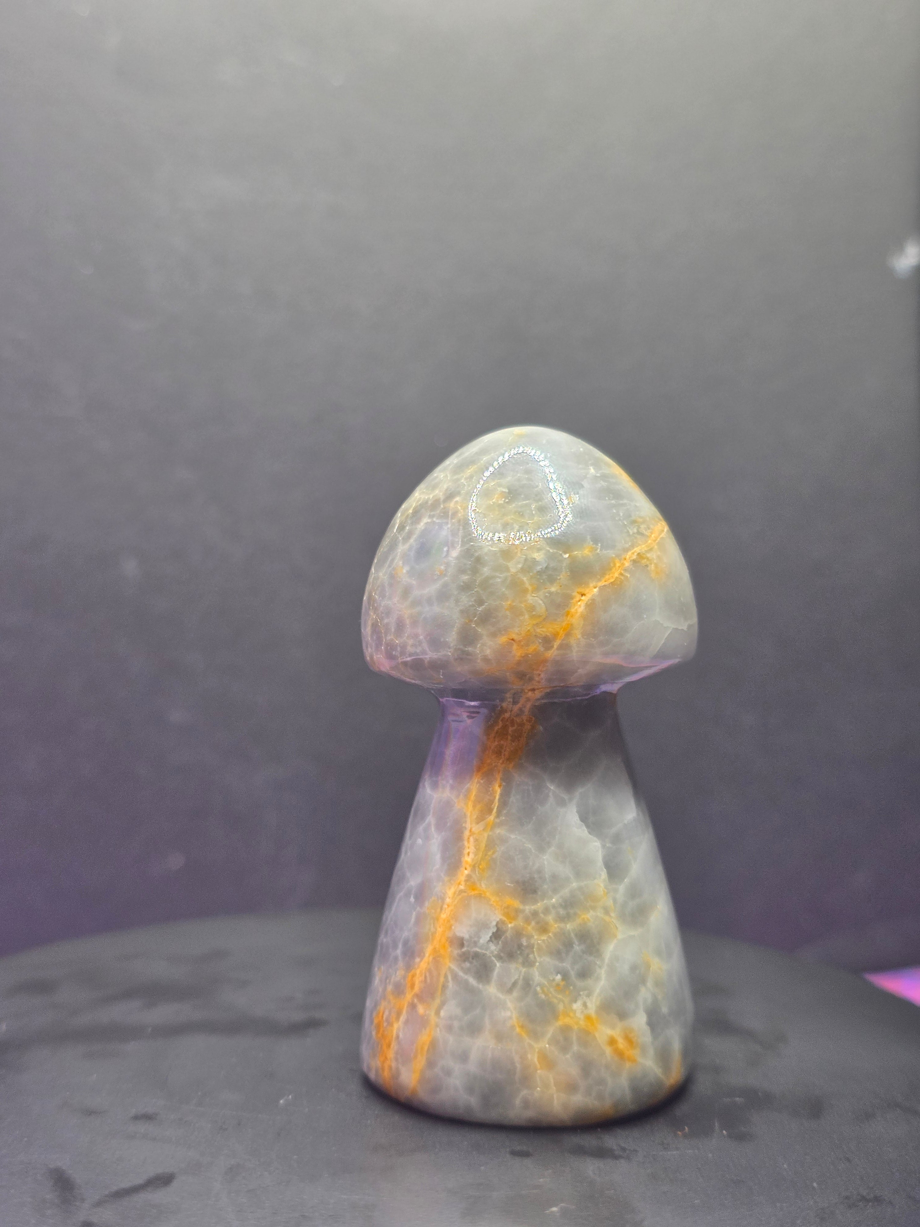 Gray Onyx Mushroom Carving A